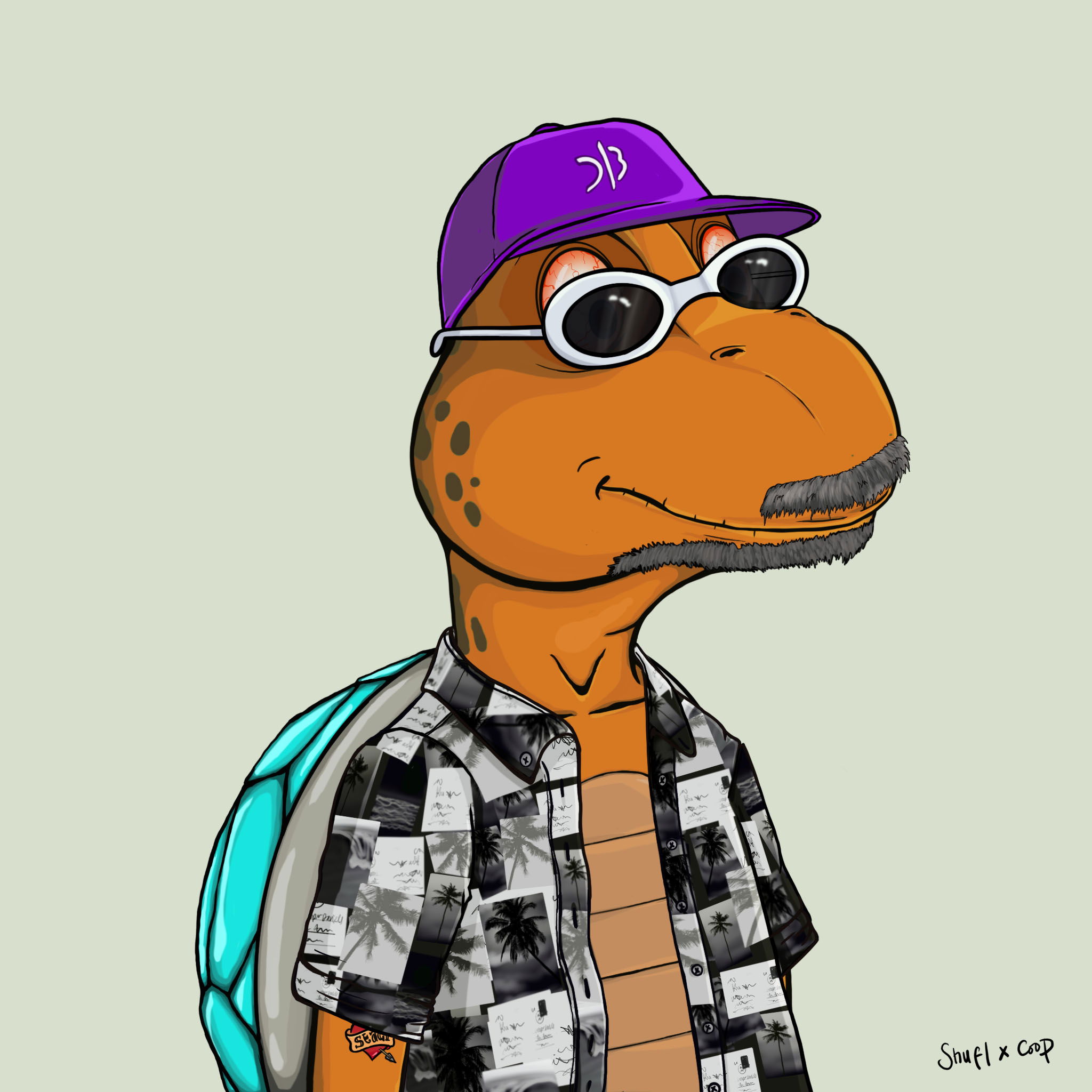 Coopa Troopa #2632 NFT on Algorand