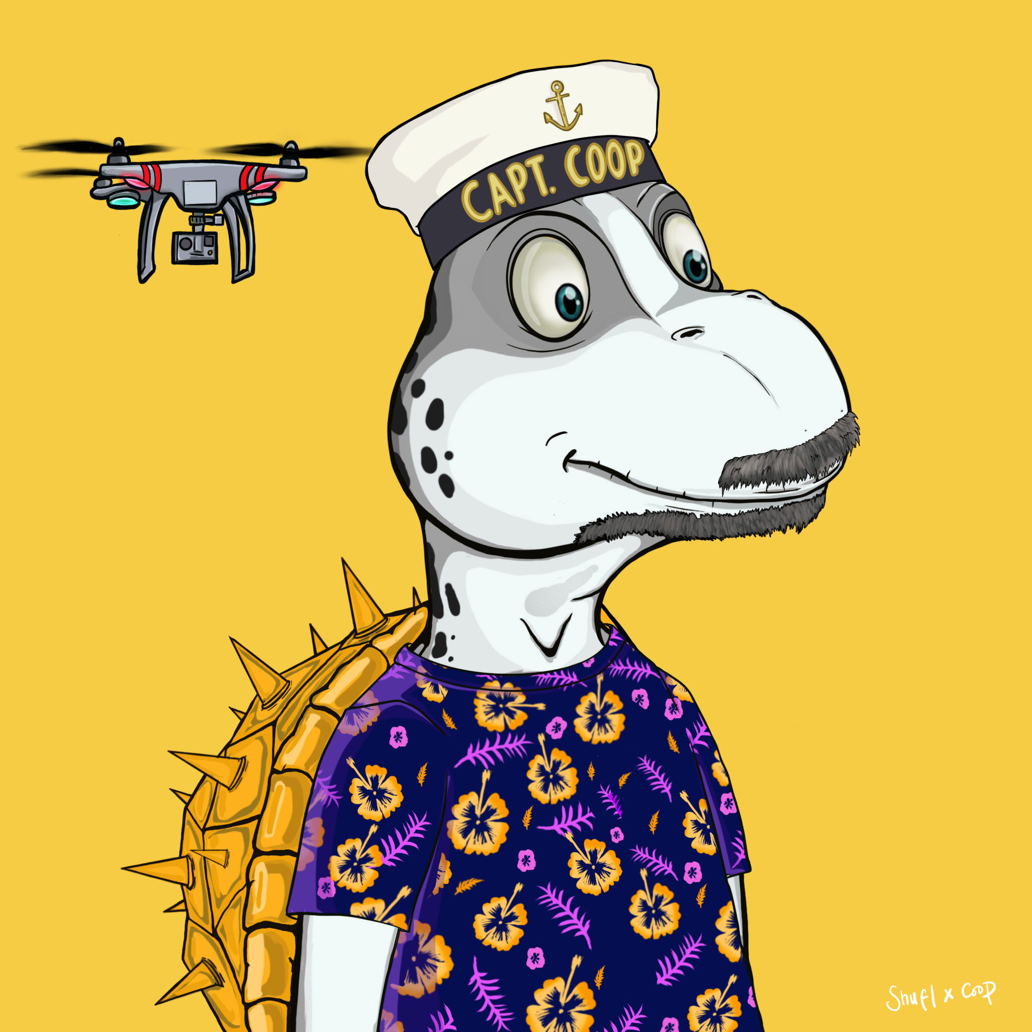 Coopa Troopa #2640 NFT on Algorand