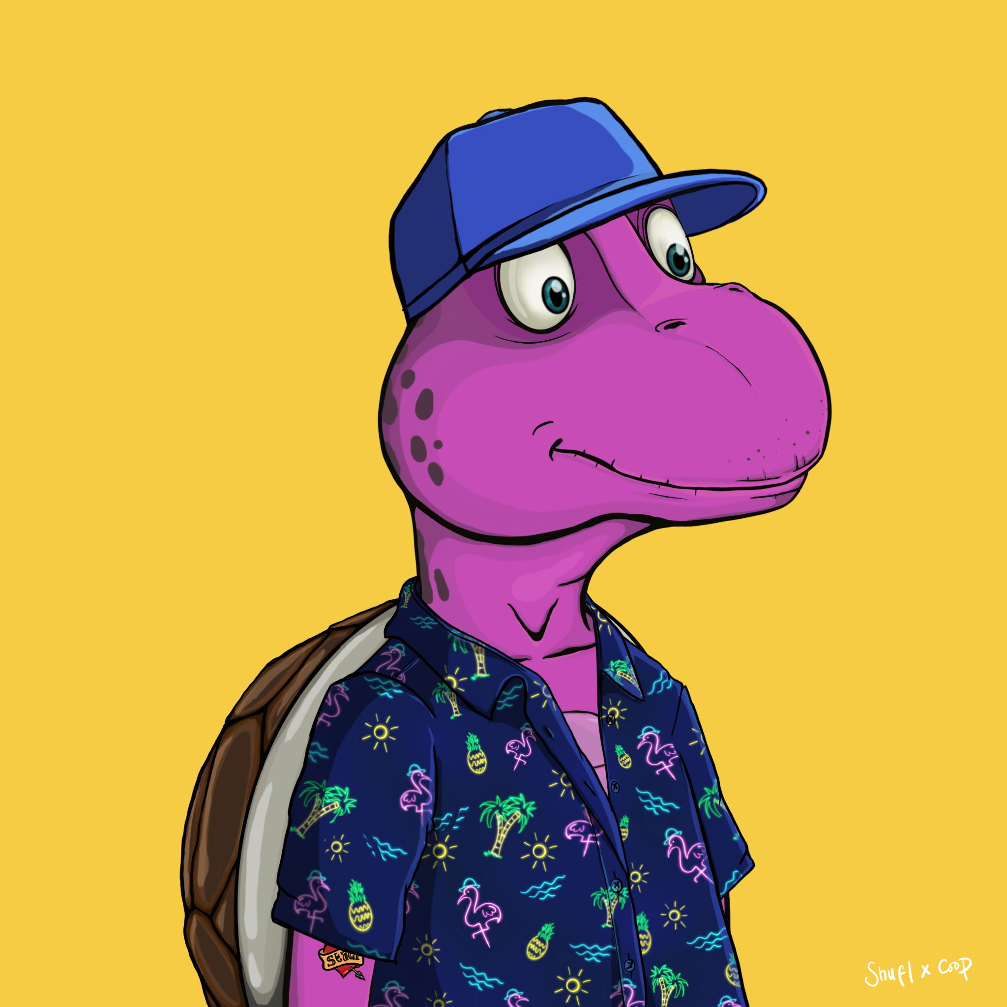 Coopa Troopa #2658 NFT on Algorand