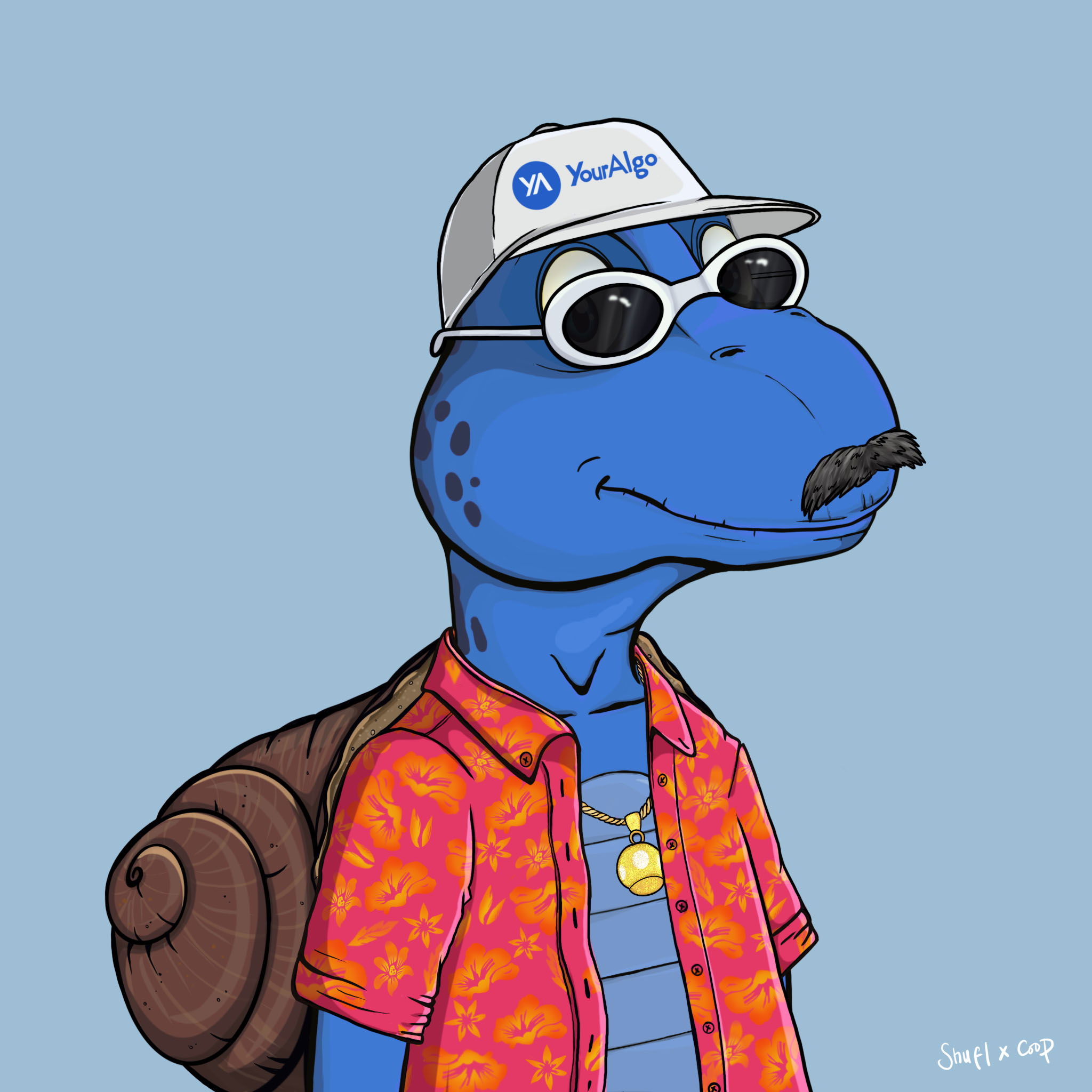 Coopa Troopa #2662 NFT on Algorand