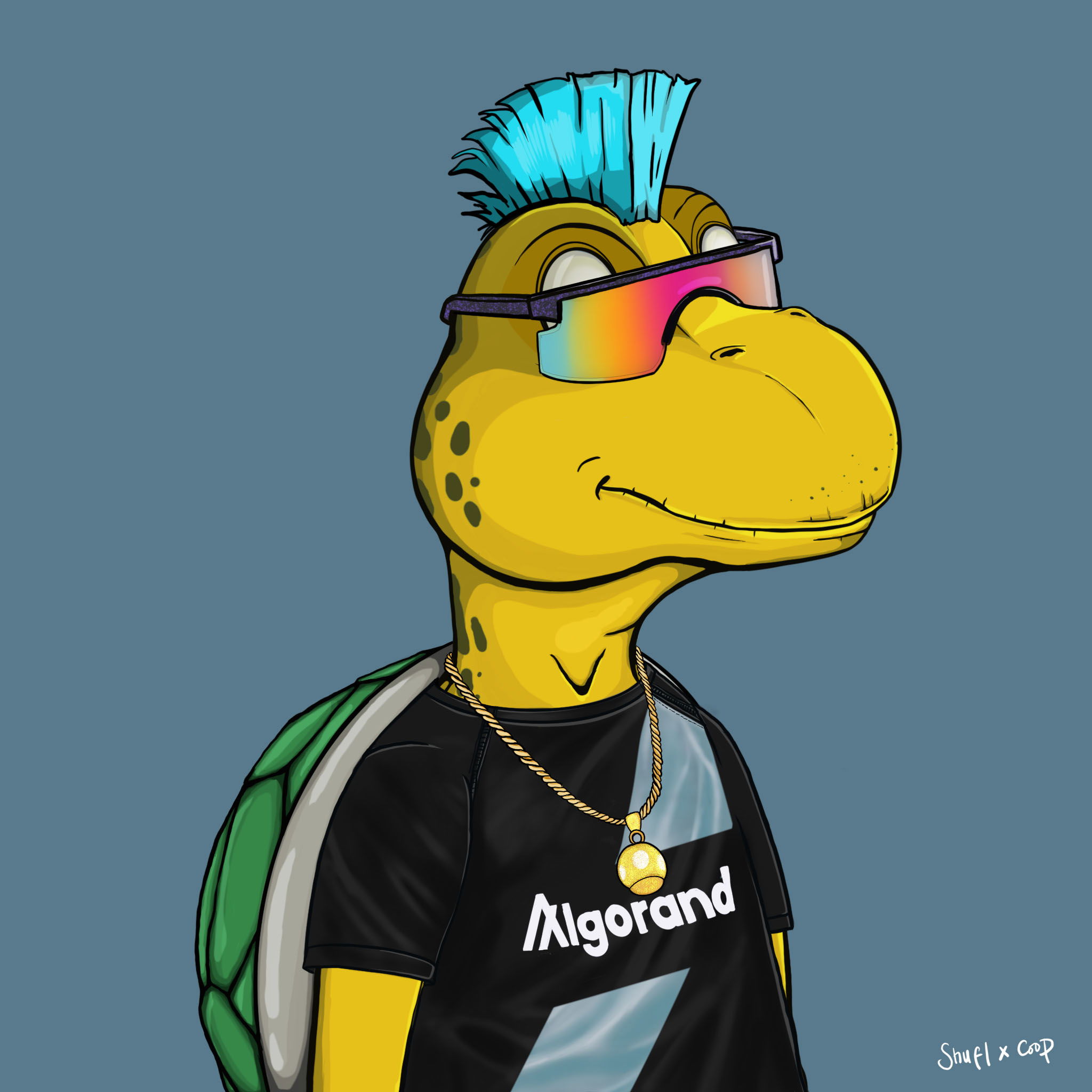 Coopa Troopa #2664 NFT on Algorand