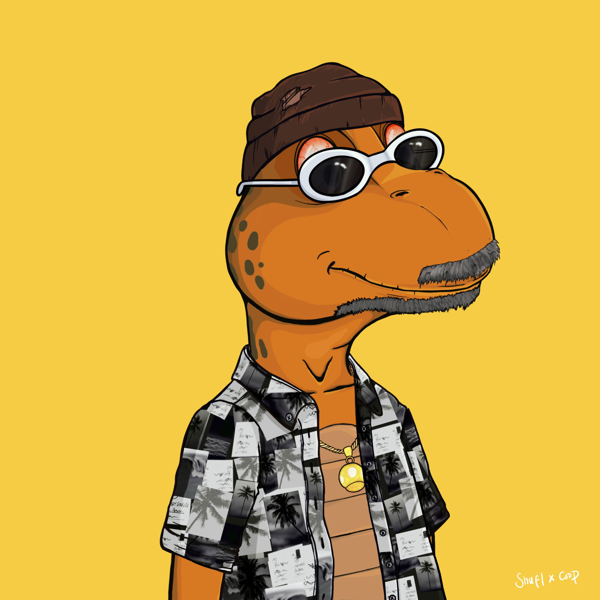 Coopa Troopa #2667 NFT on Algorand