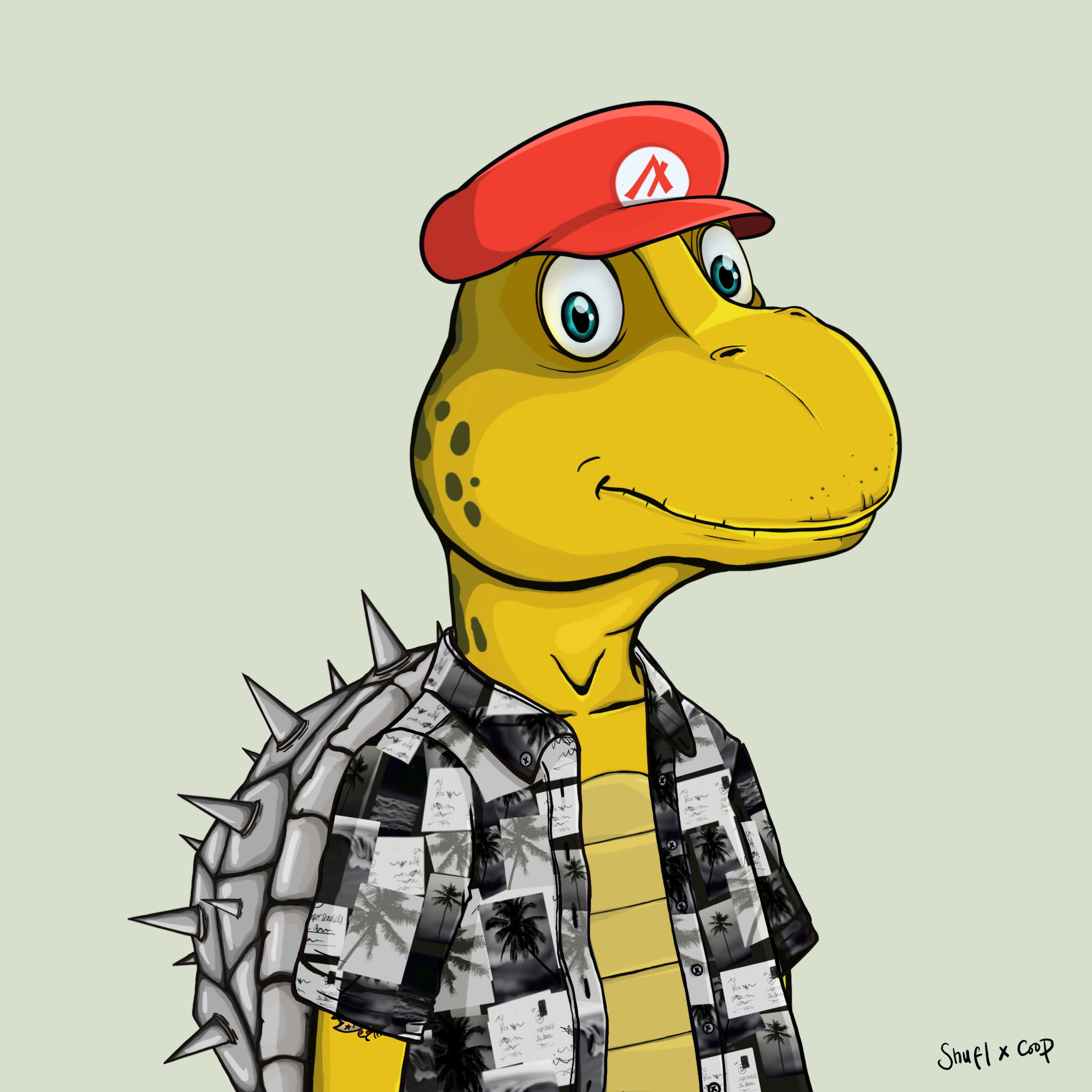 Coopa Troopa #2673 NFT on Algorand