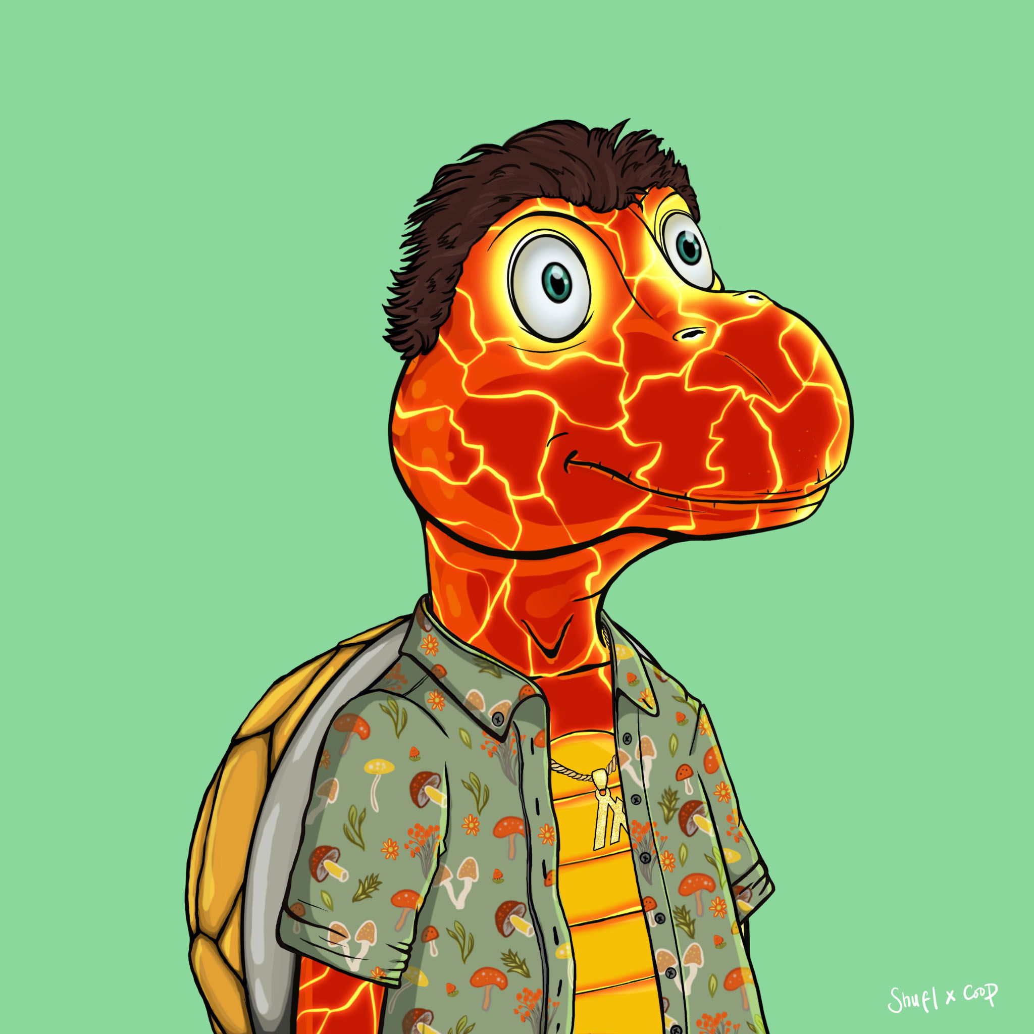 Coopa Troopa #2674 NFT on Algorand