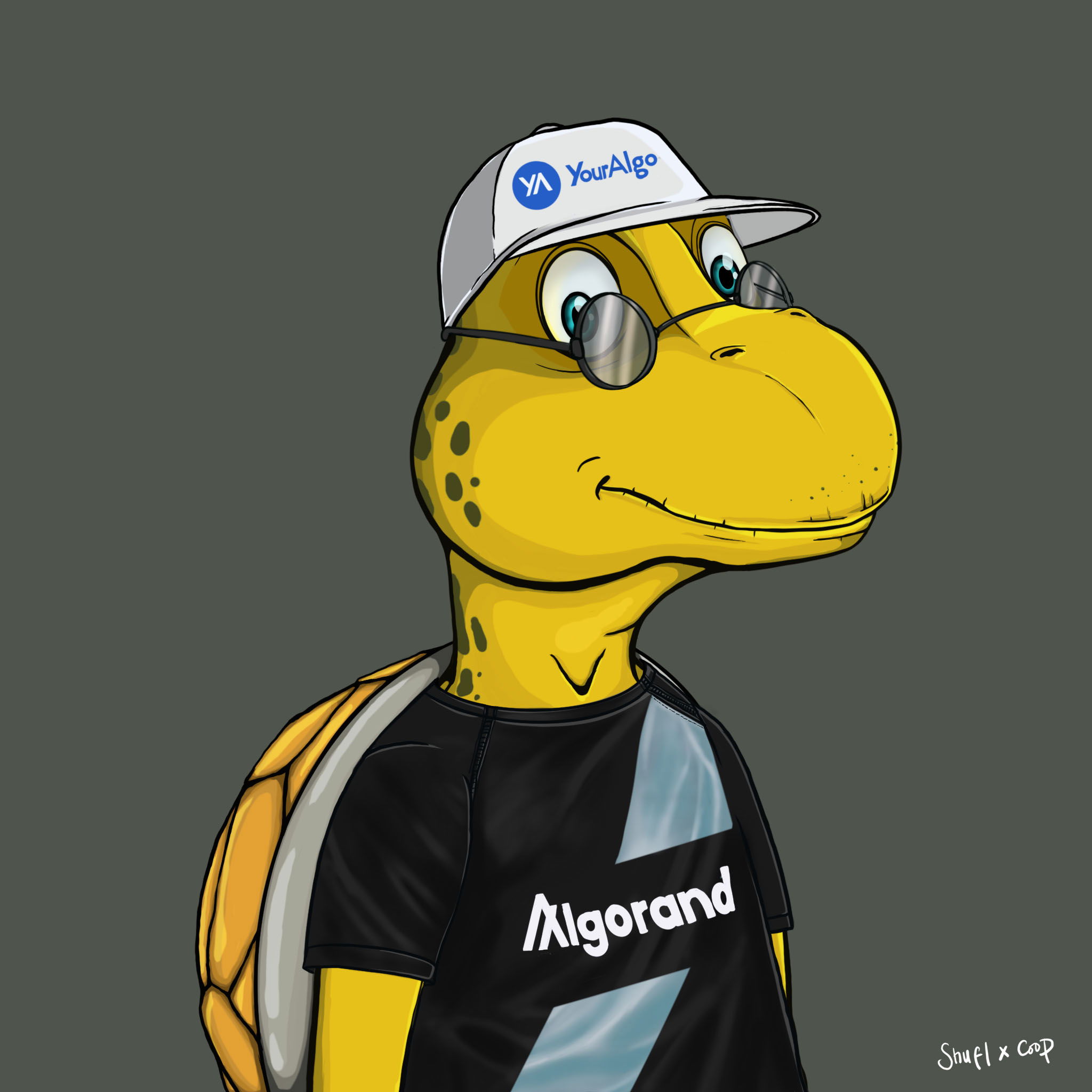 Coopa Troopa #2682 NFT on Algorand