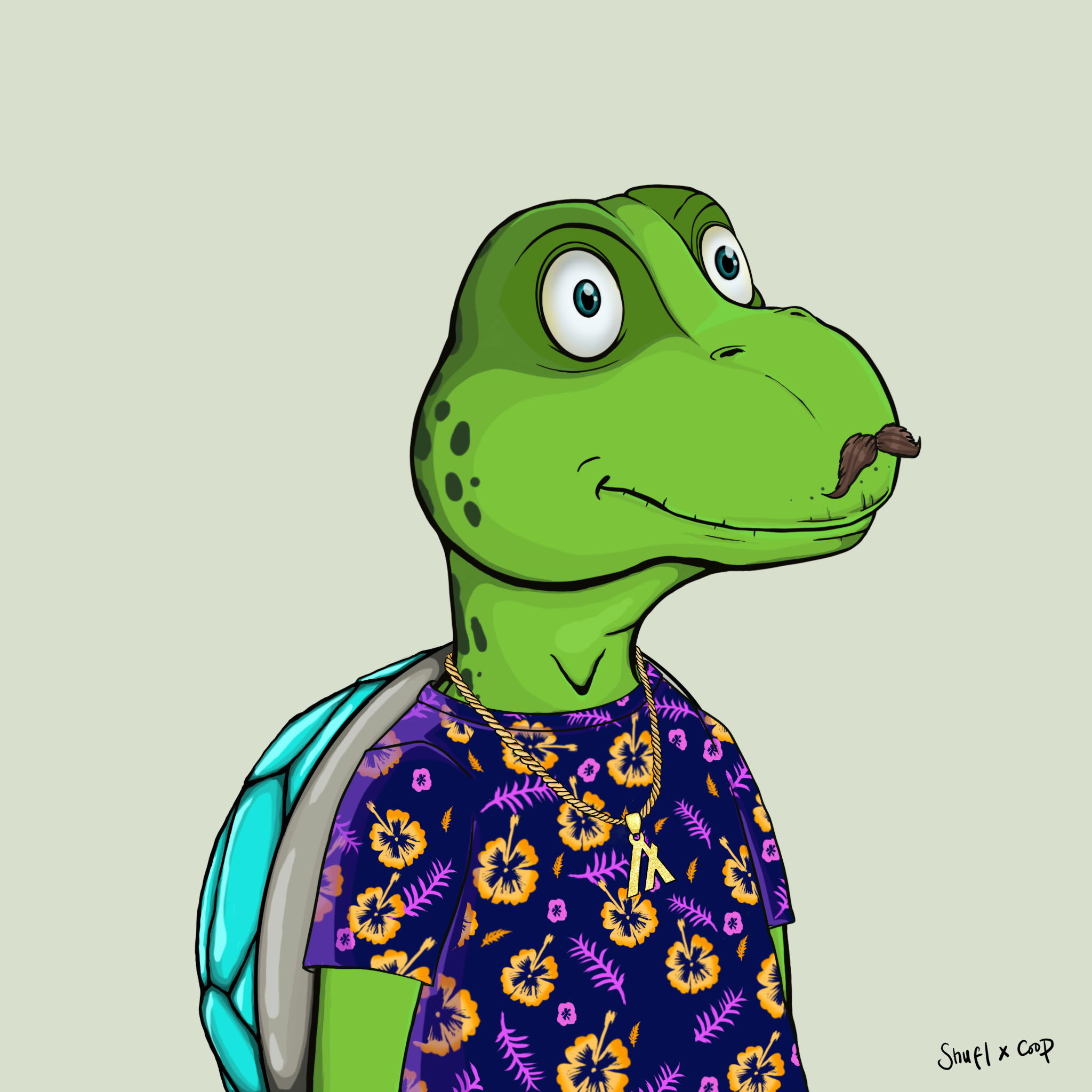 Coopa Troopa #2685 NFT on Algorand