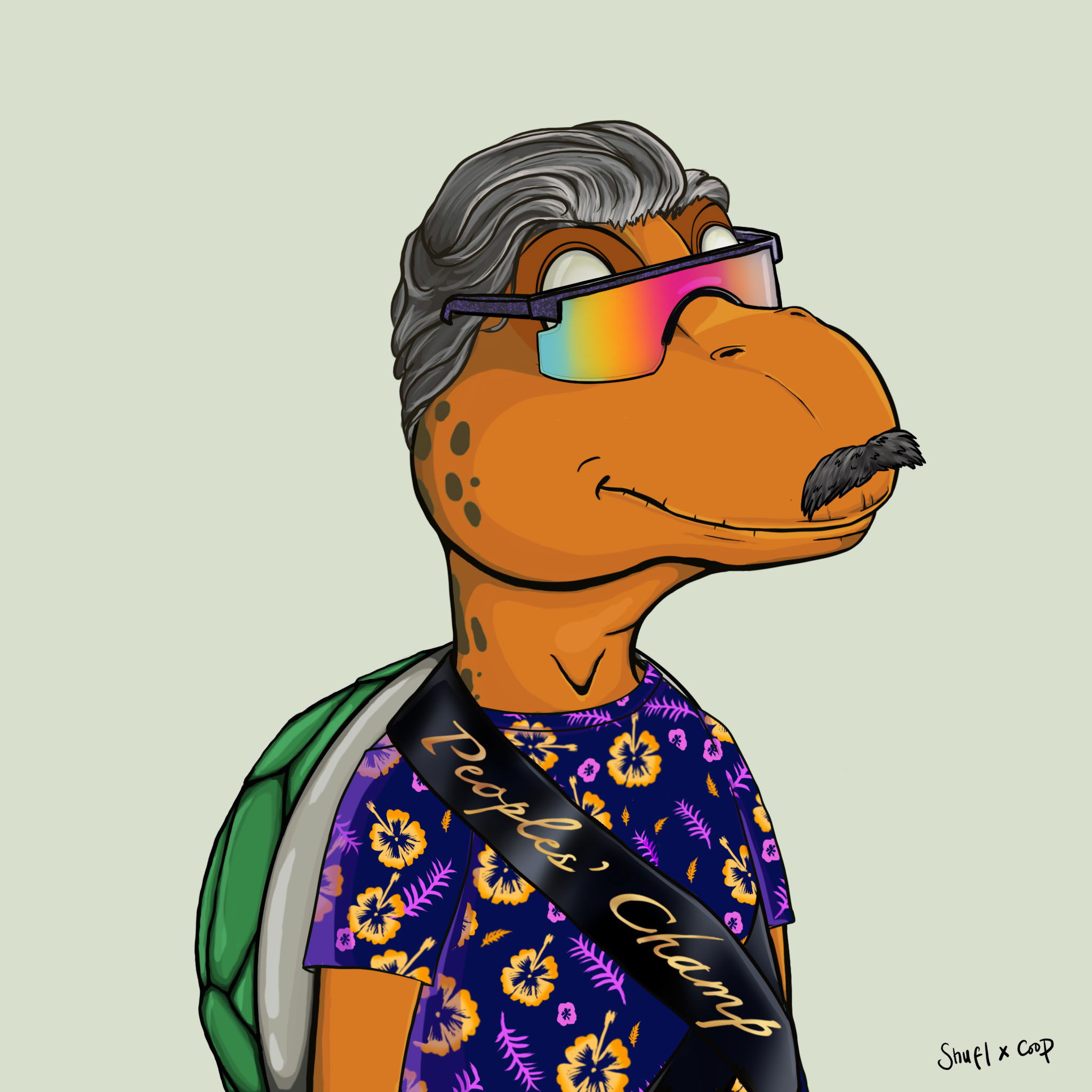 Coopa Troopa #2687 NFT on Algorand