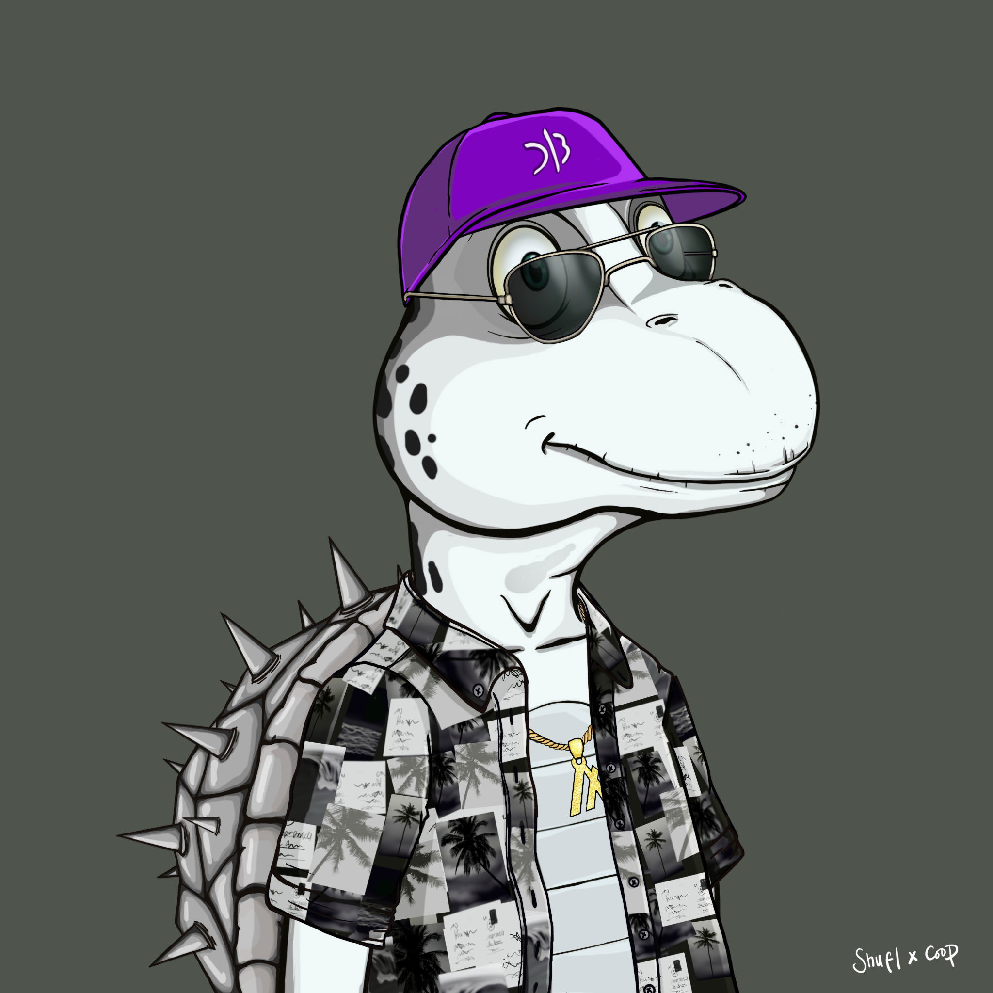 Coopa Troopa #2695 NFT on Algorand