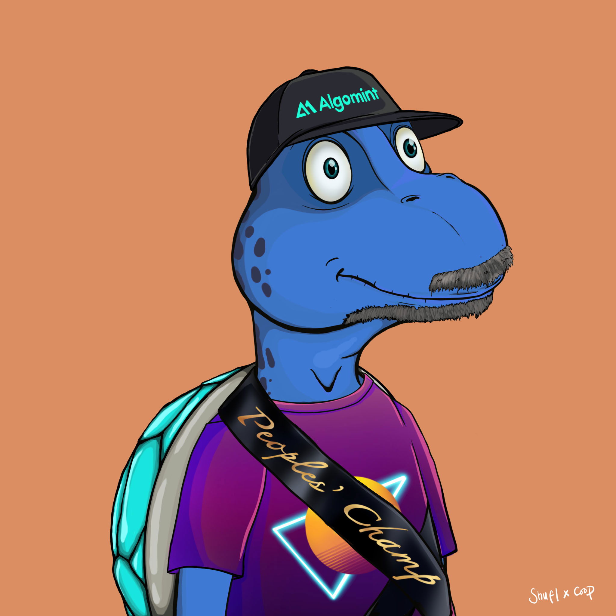 Coopa Troopa #2696 NFT on Algorand