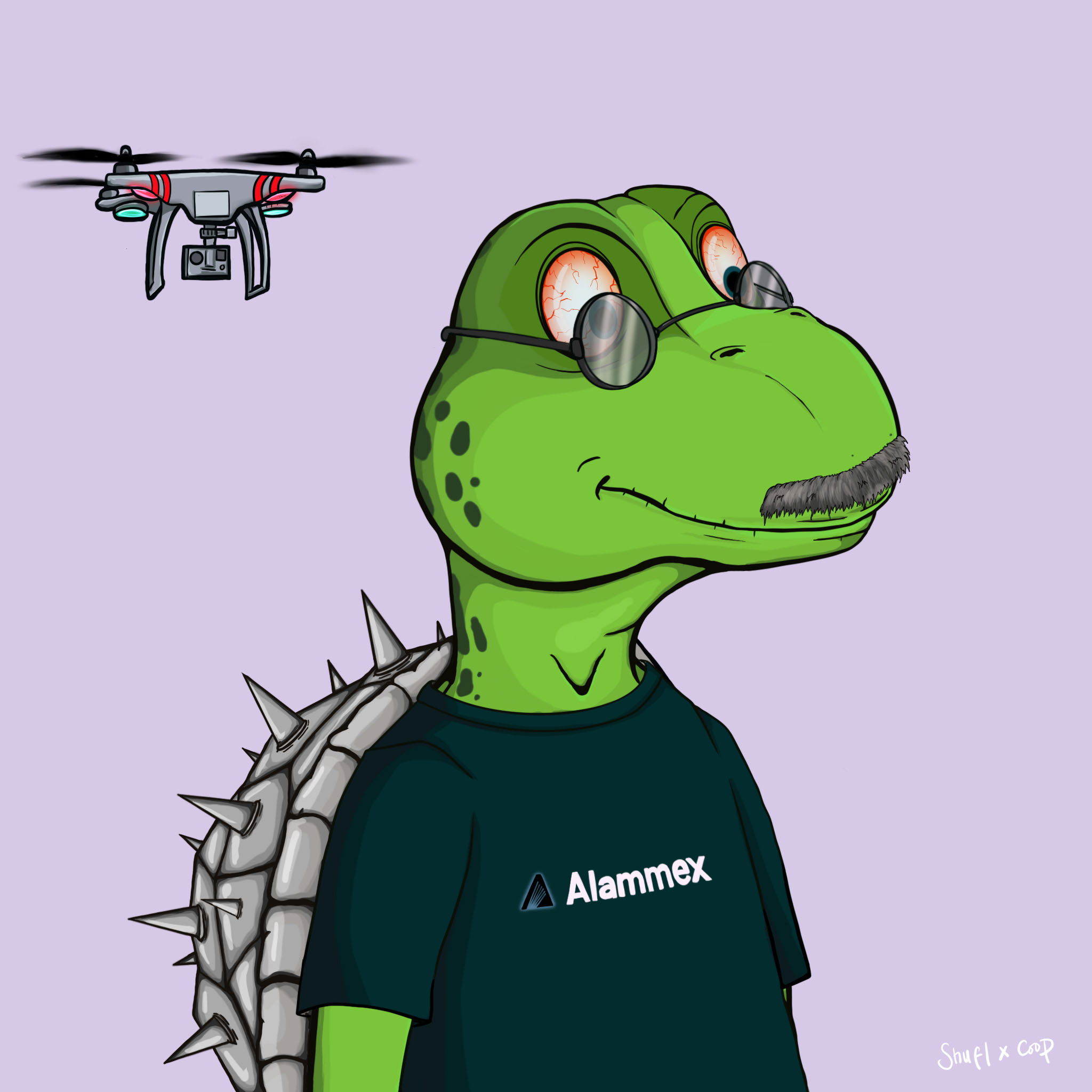 Coopa Troopa #2700 NFT on Algorand