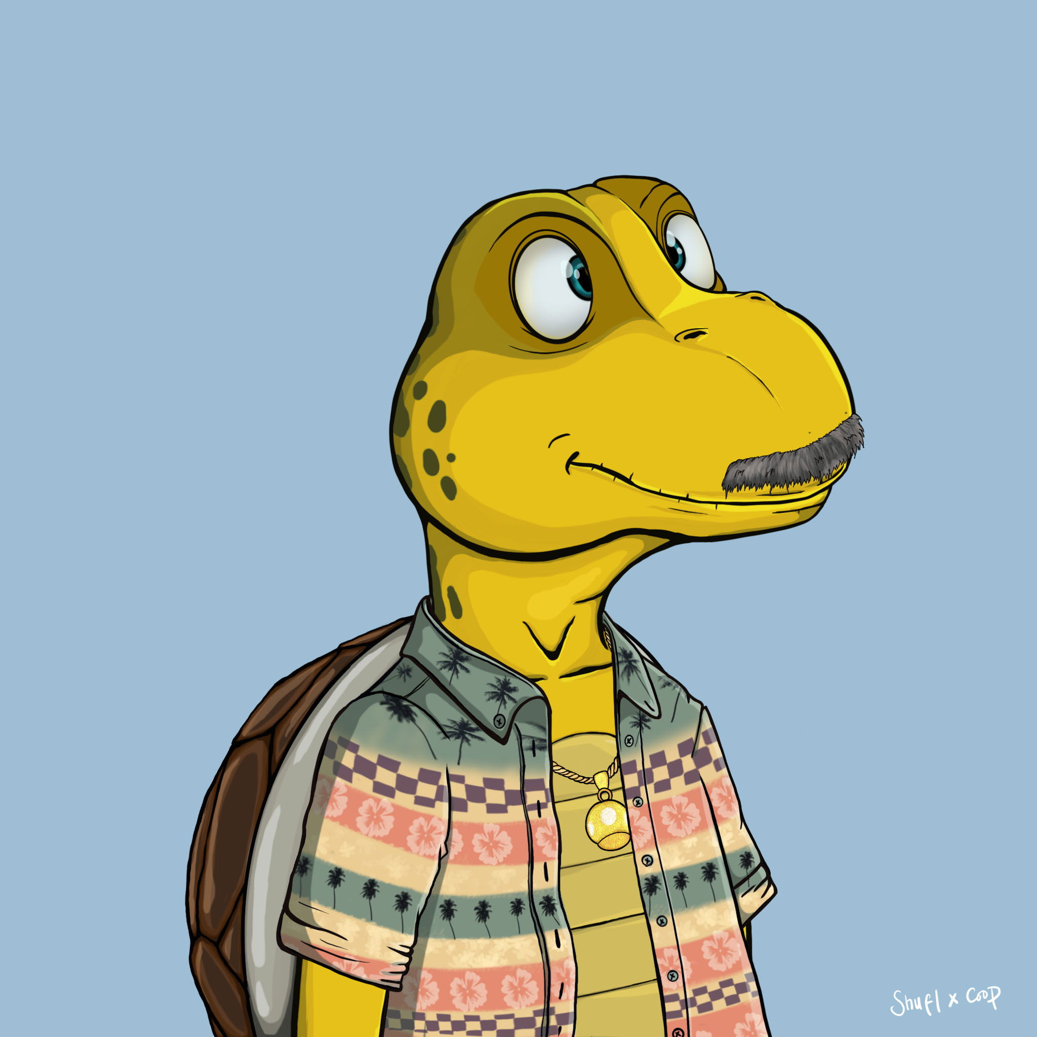 Coopa Troopa #2704 NFT on Algorand