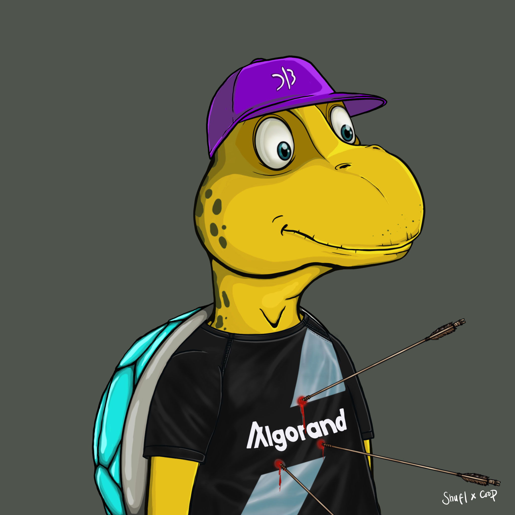 Coopa Troopa #2707 NFT on Algorand