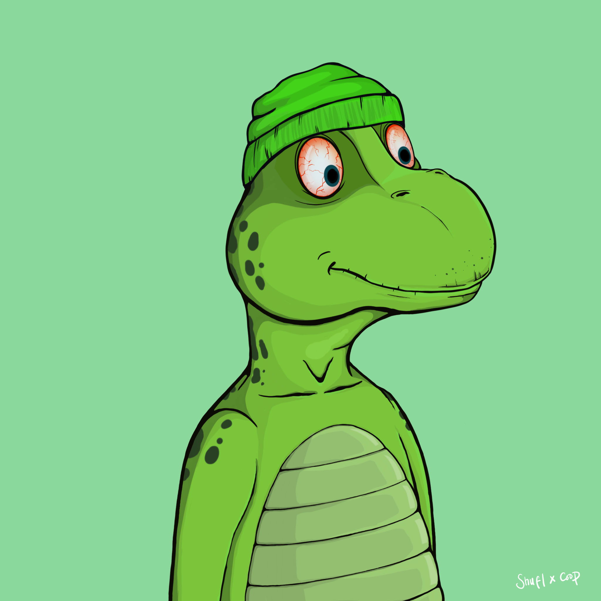 Coopa Troopa #2727 NFT on Algorand