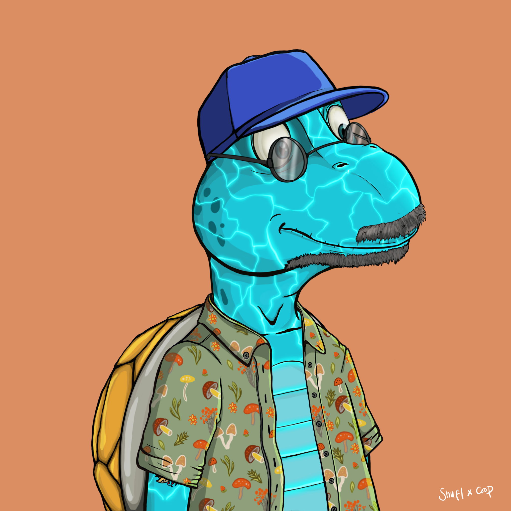 Coopa Troopa #2733 NFT on Algorand