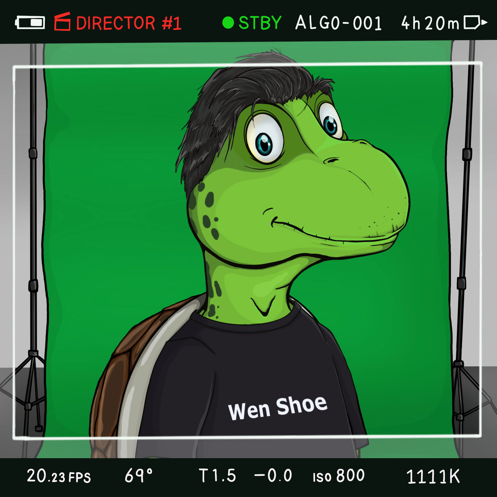 Coopa Troopa #2735 NFT on Algorand