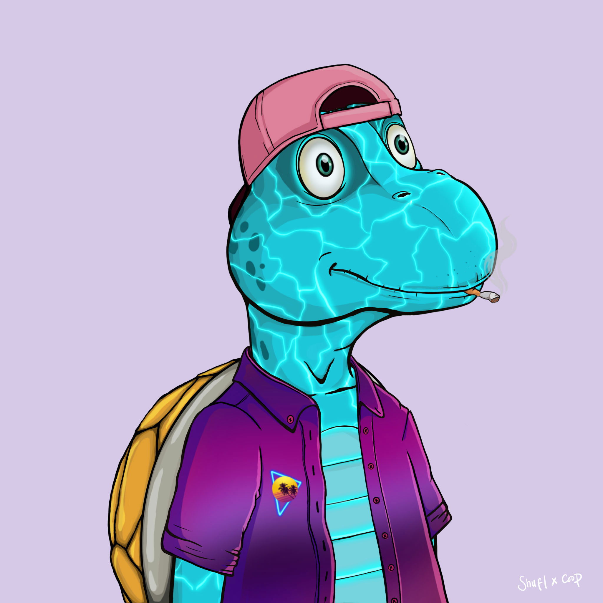 Coopa Troopa #2737 NFT on Algorand