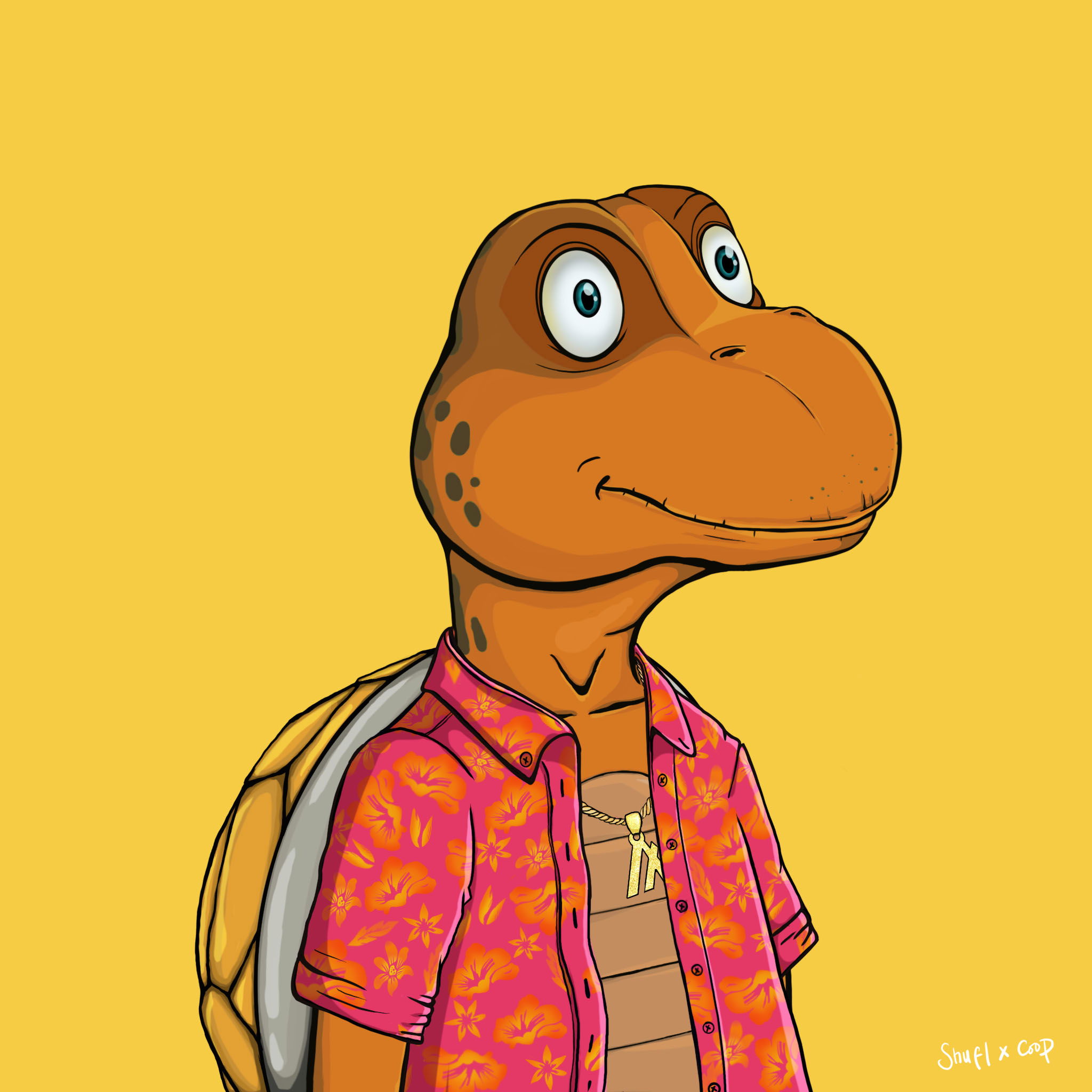 Coopa Troopa #2738 NFT on Algorand