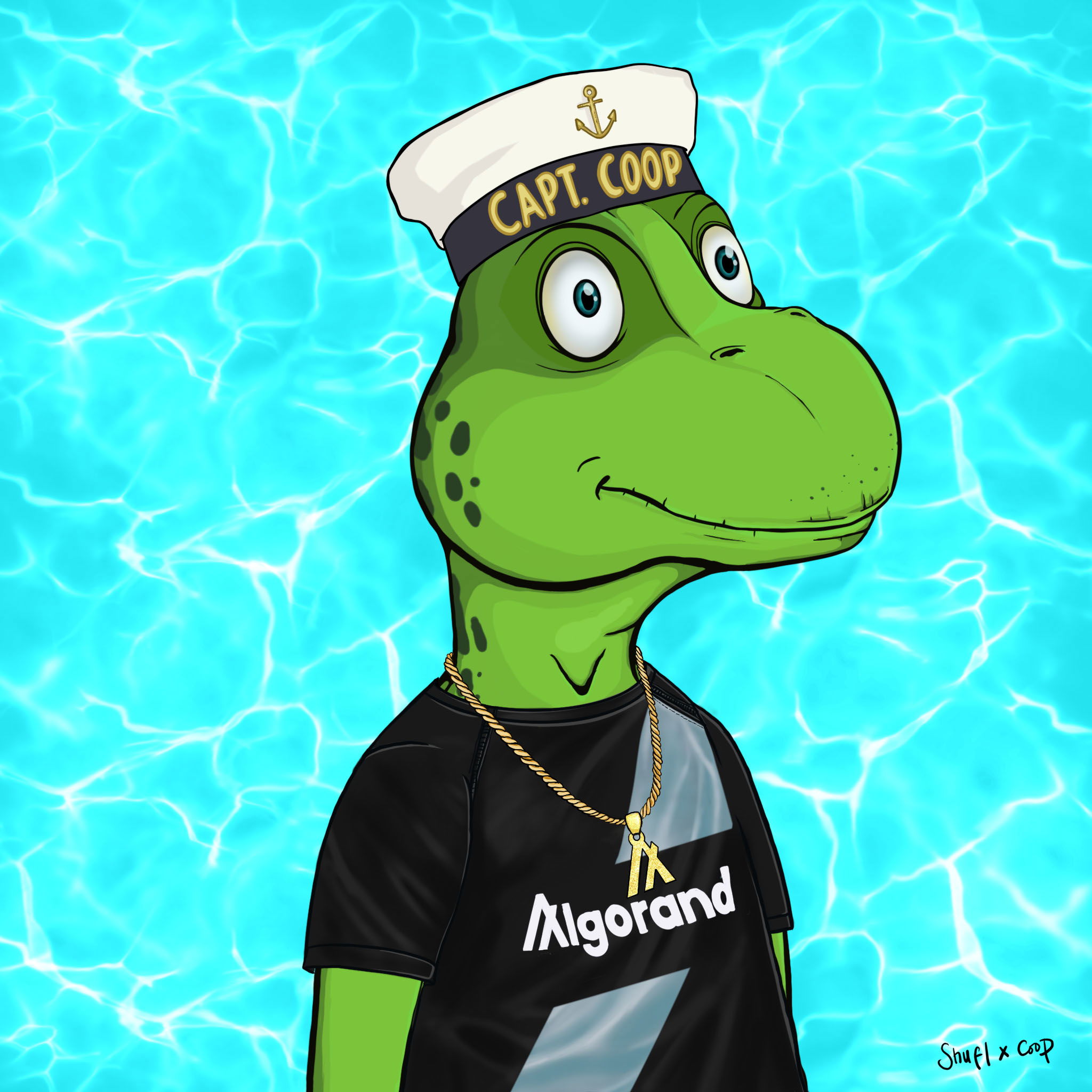 Coopa Troopa #2740 NFT on Algorand