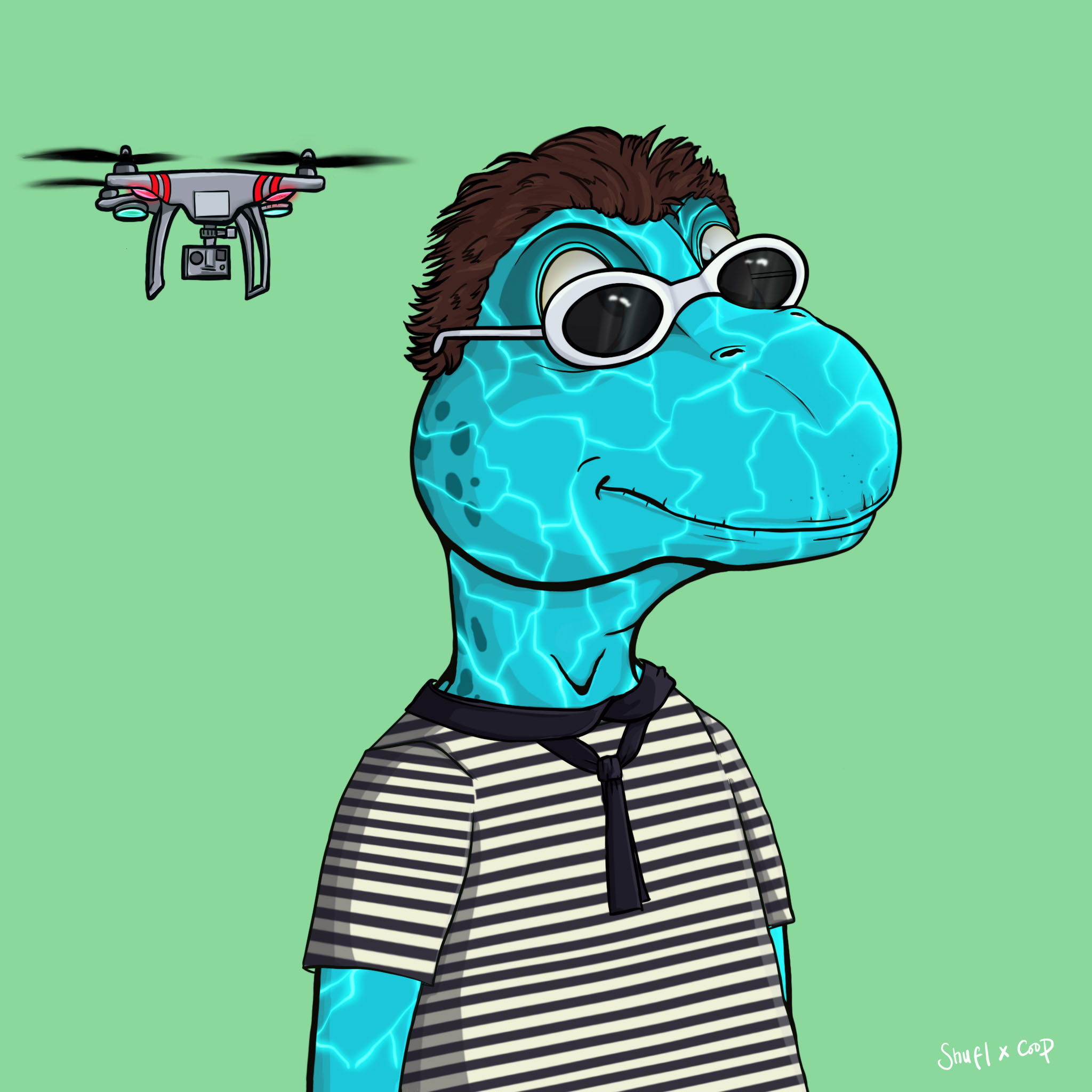 Coopa Troopa #2741 NFT on Algorand