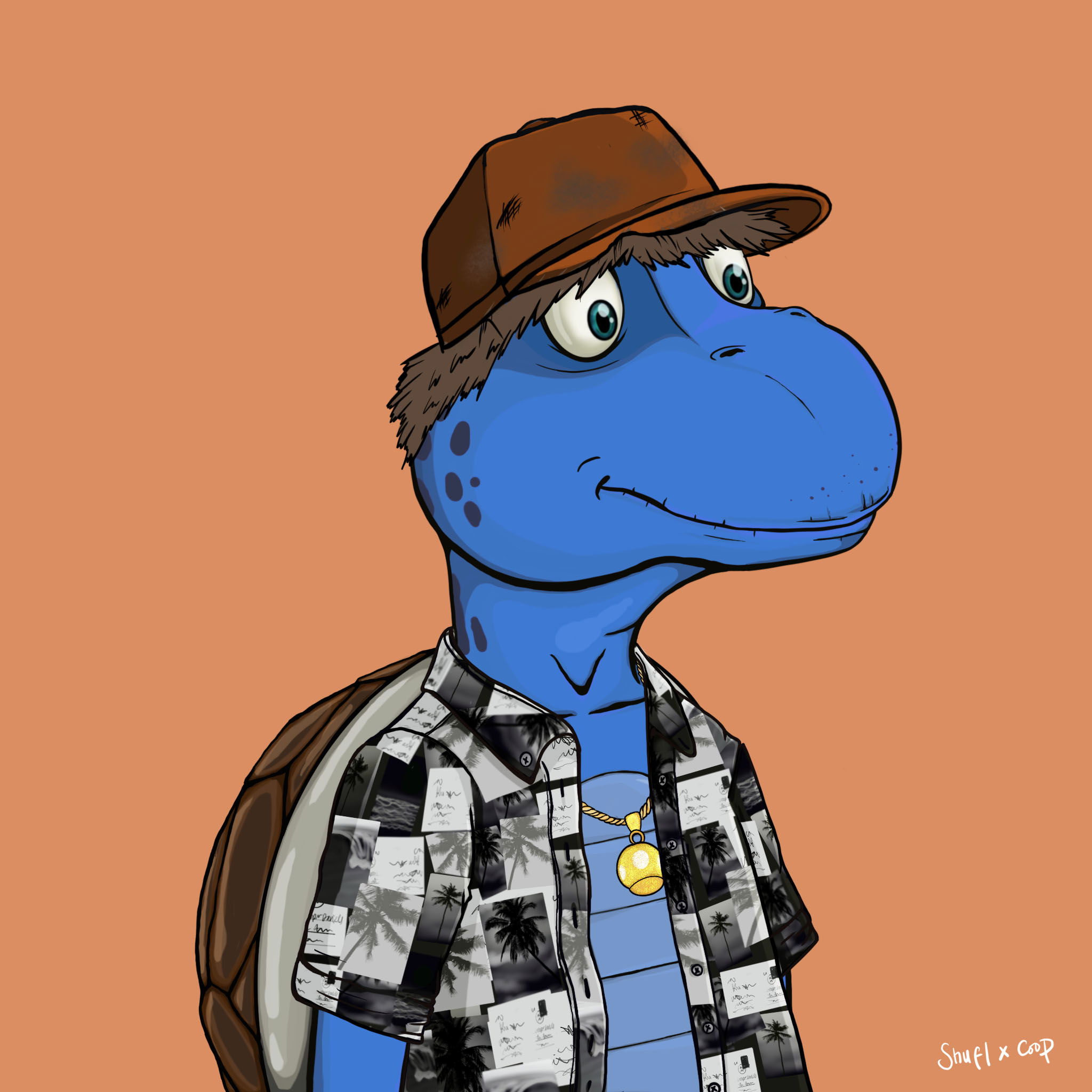 Coopa Troopa #2744 NFT on Algorand