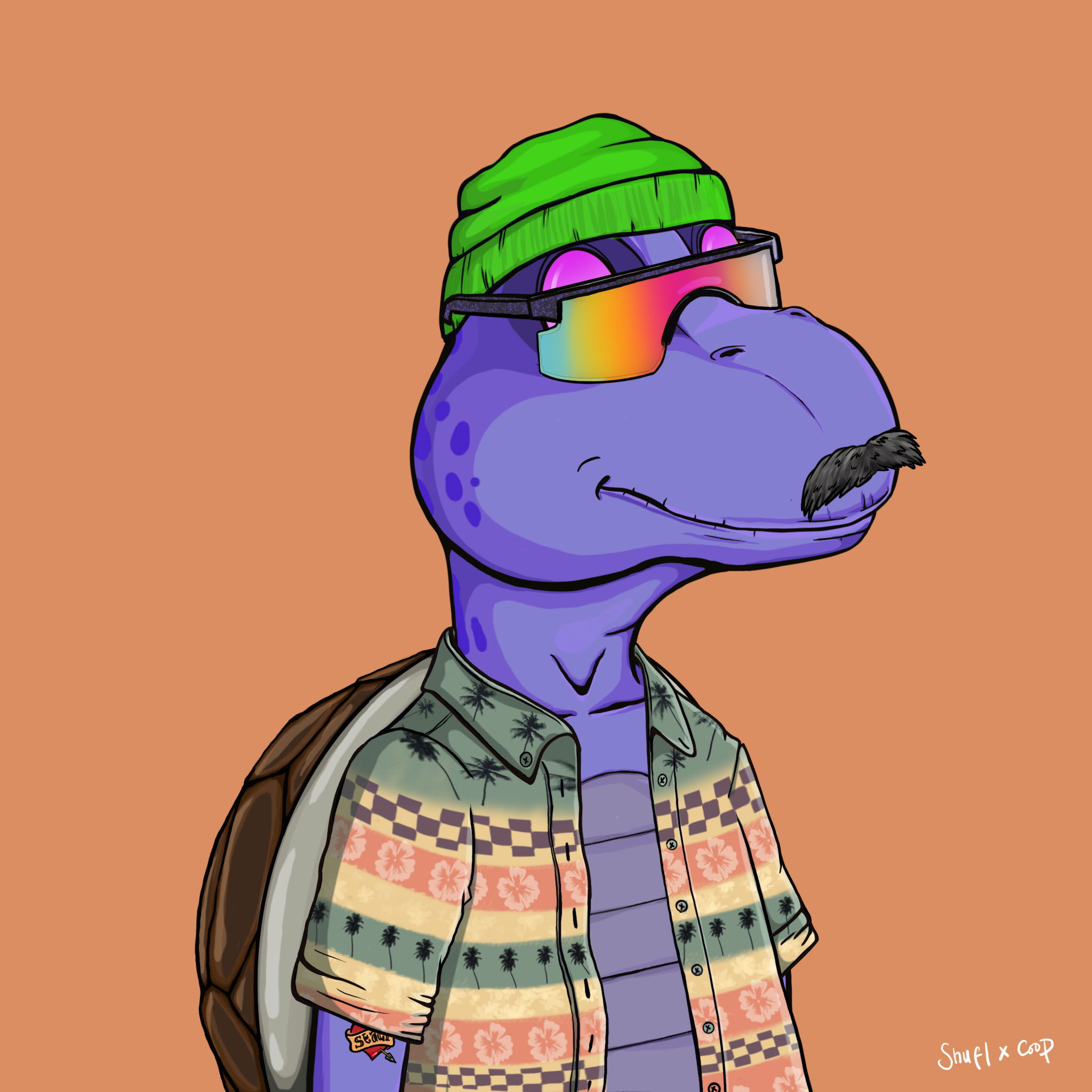 Coopa Troopa #2746 NFT on Algorand