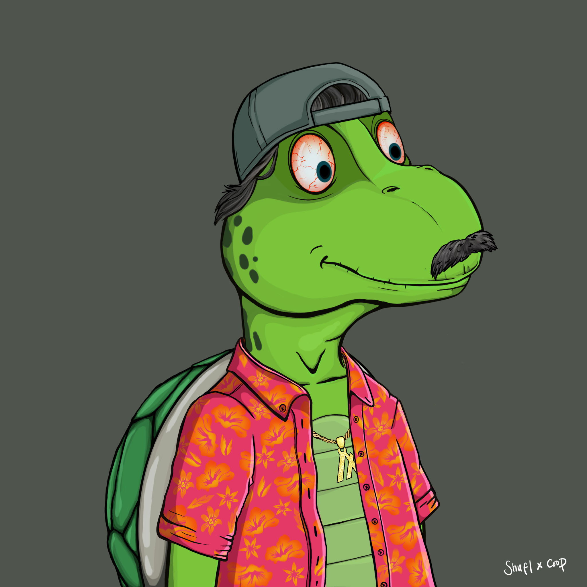 Coopa Troopa #2761 NFT on Algorand