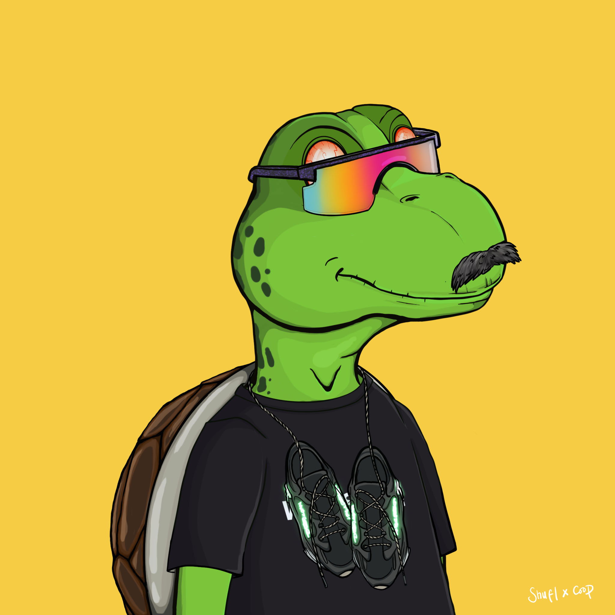 Coopa Troopa #2774 NFT on Algorand