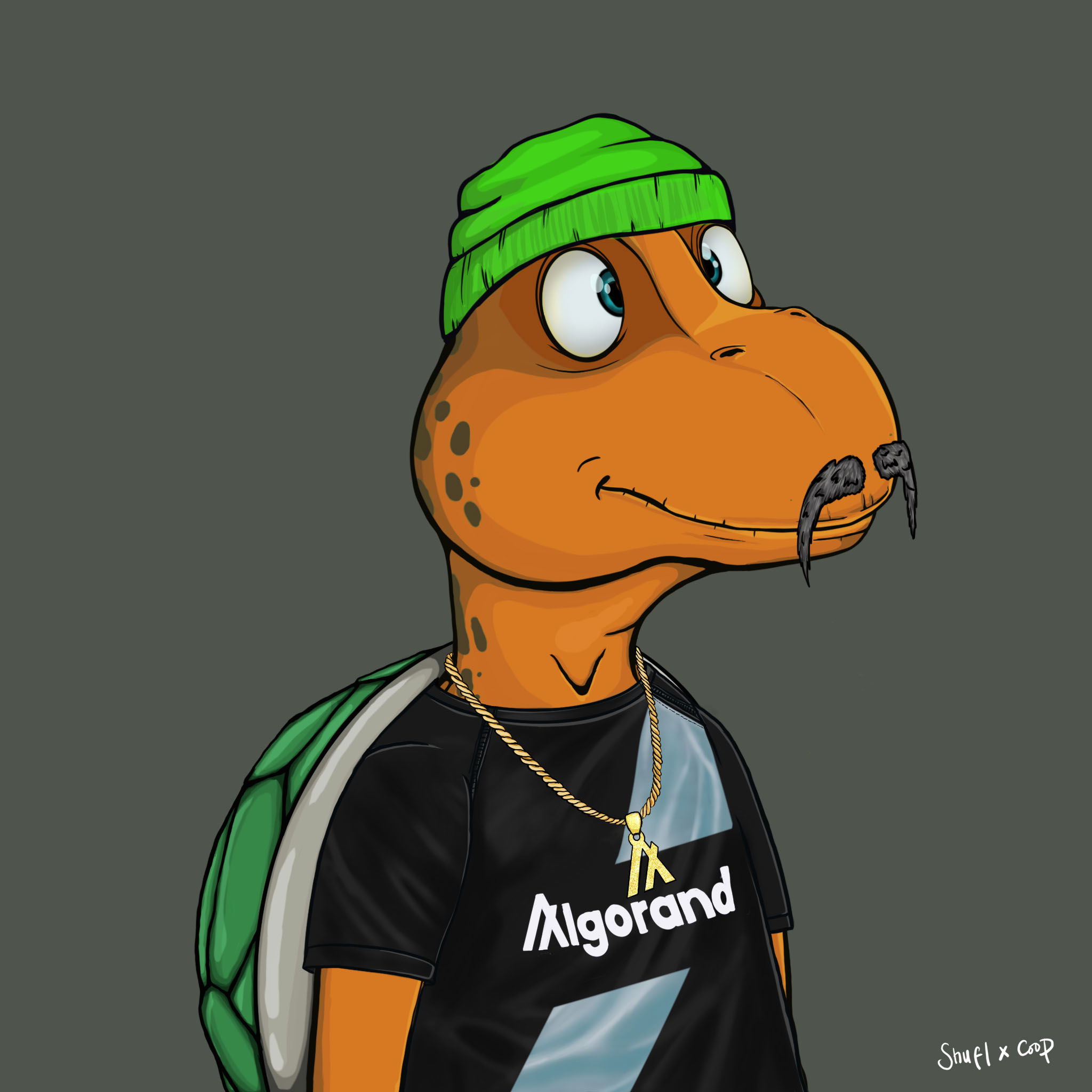 Coopa Troopa #2786 NFT on Algorand