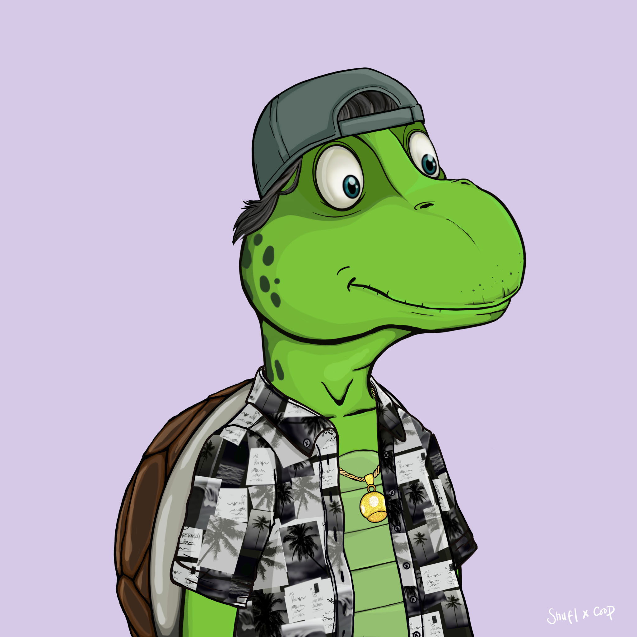 Coopa Troopa #2792 NFT on Algorand