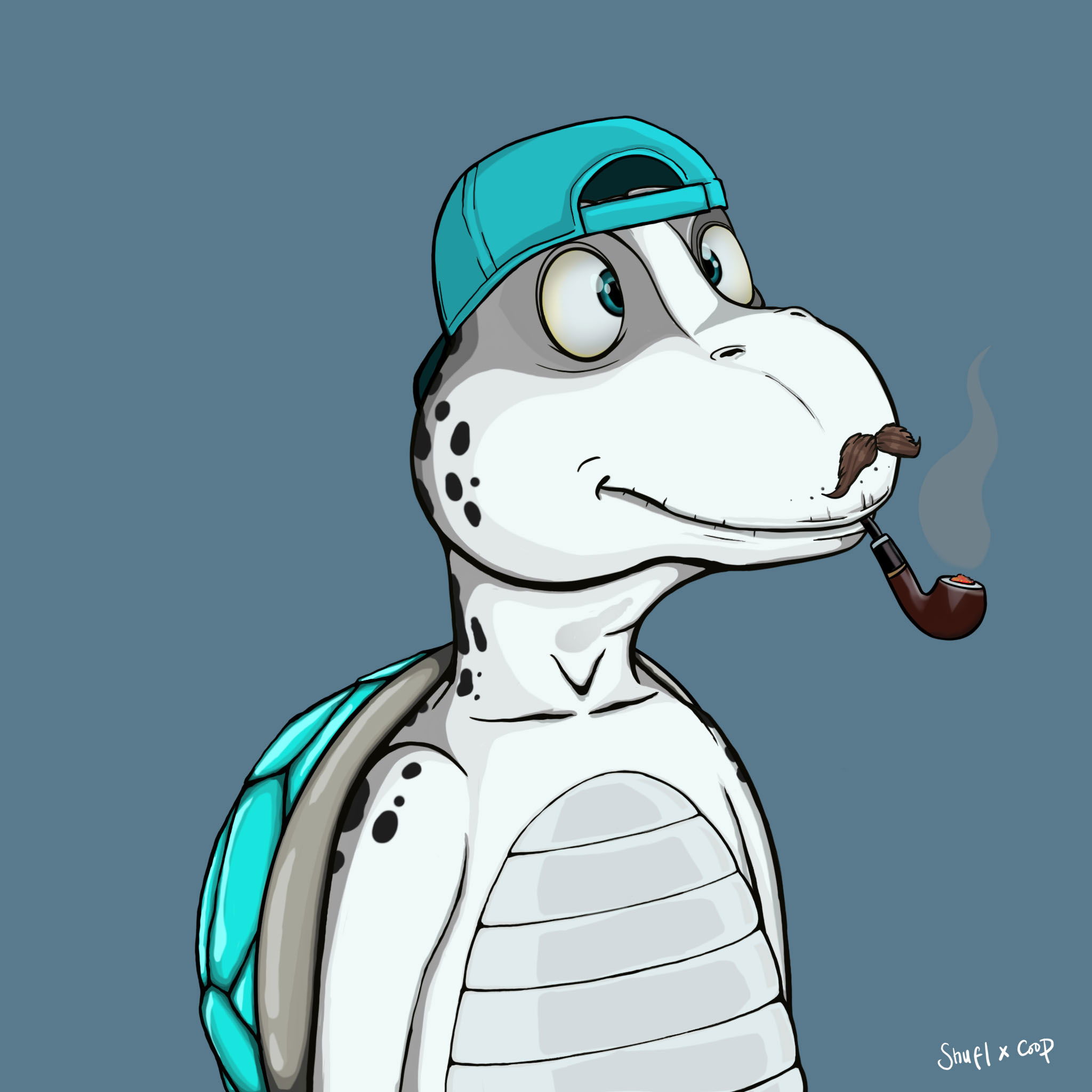 Coopa Troopa #2794 NFT on Algorand