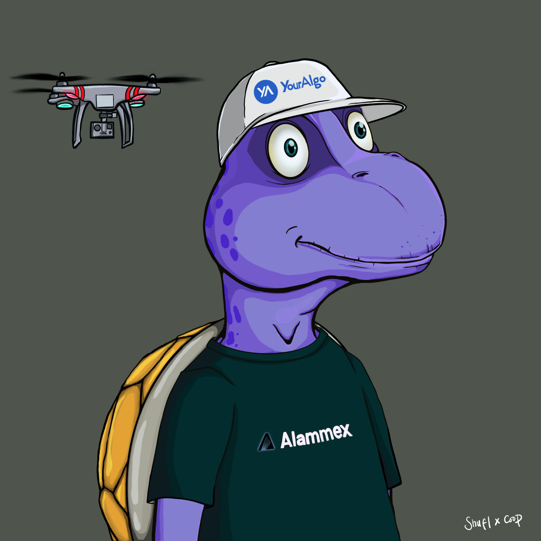 Coopa Troopa #2796 NFT on Algorand