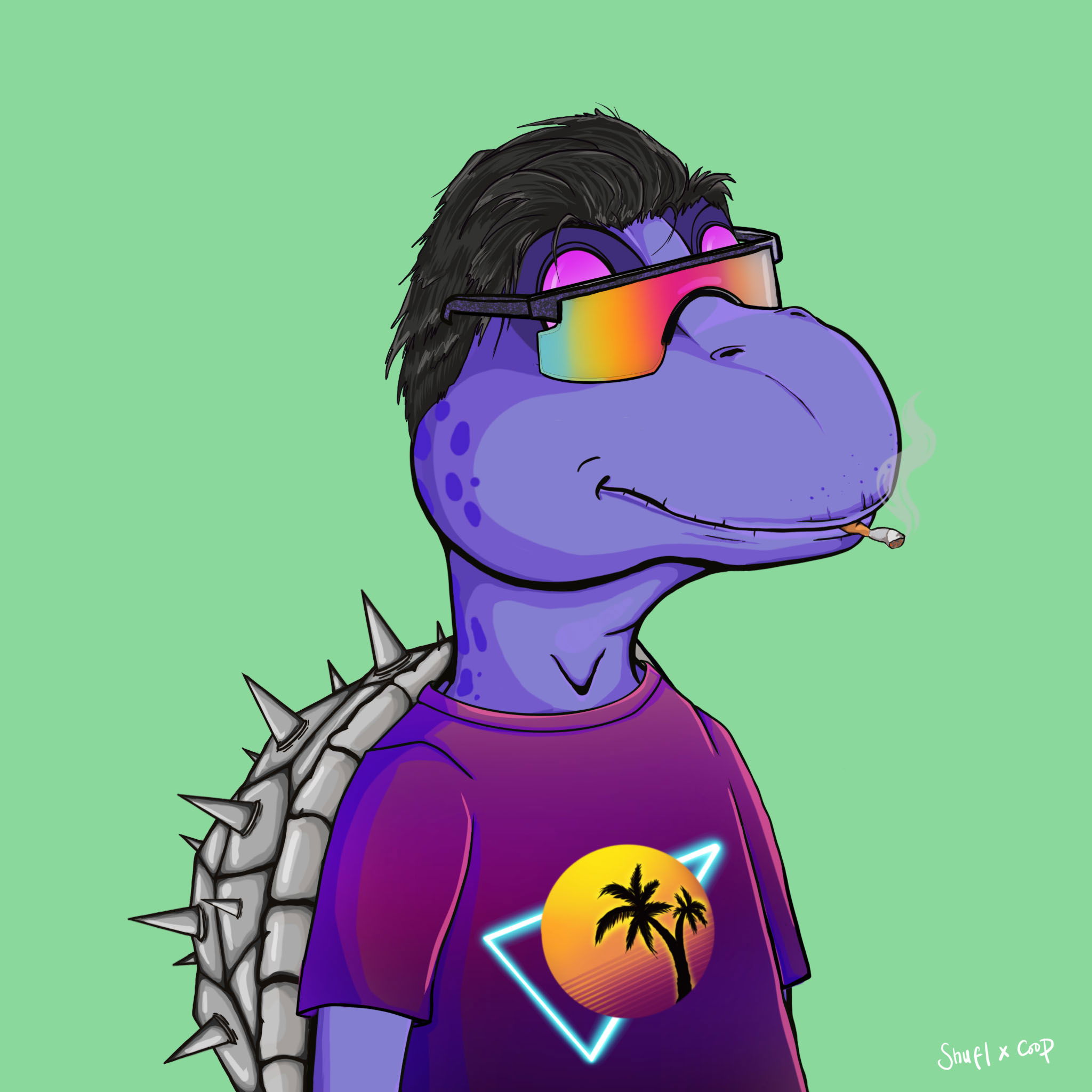 Coopa Troopa #2797 NFT on Algorand