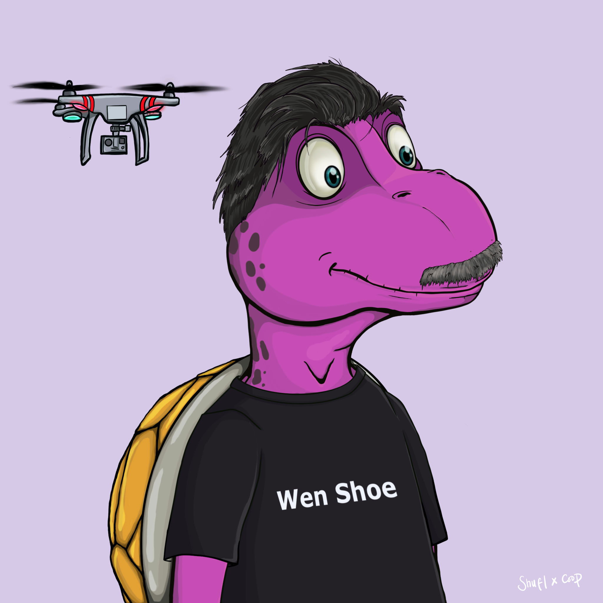 Coopa Troopa #2803 NFT on Algorand