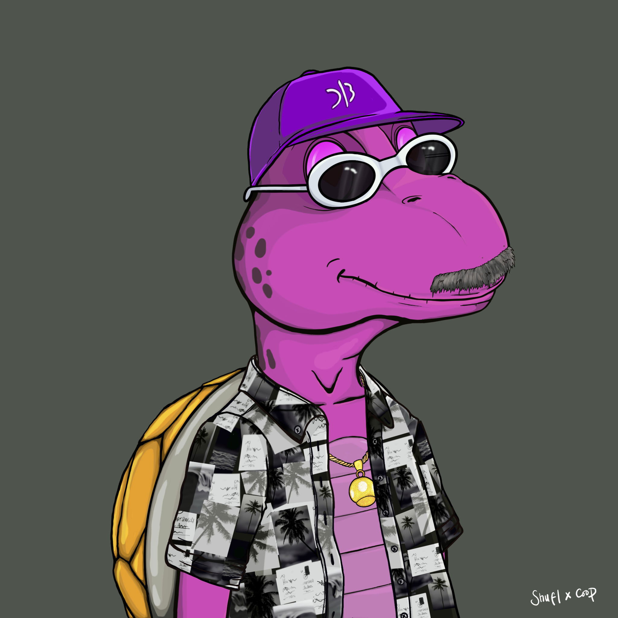 Coopa Troopa #2812 NFT on Algorand