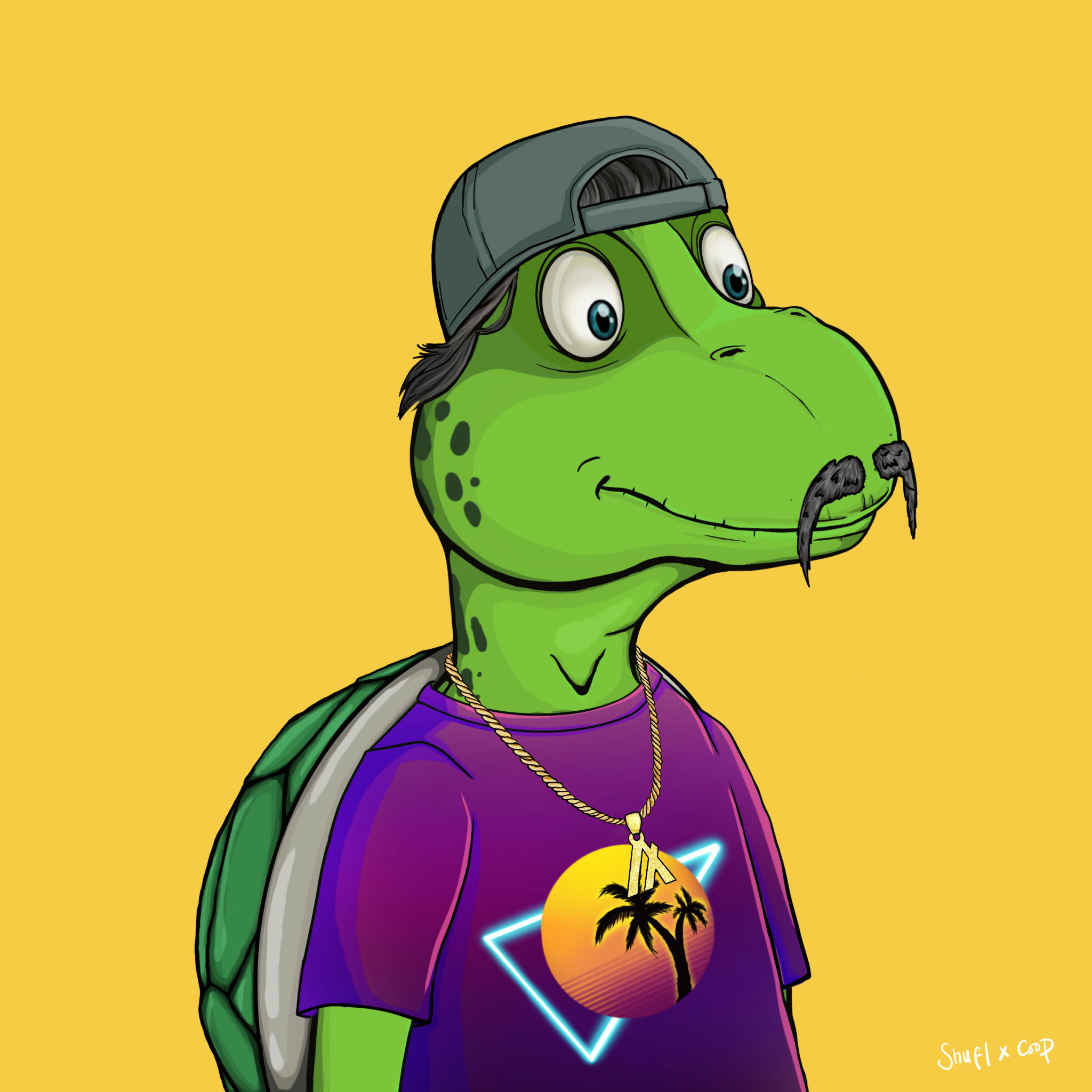 Coopa Troopa #2813 NFT on Algorand