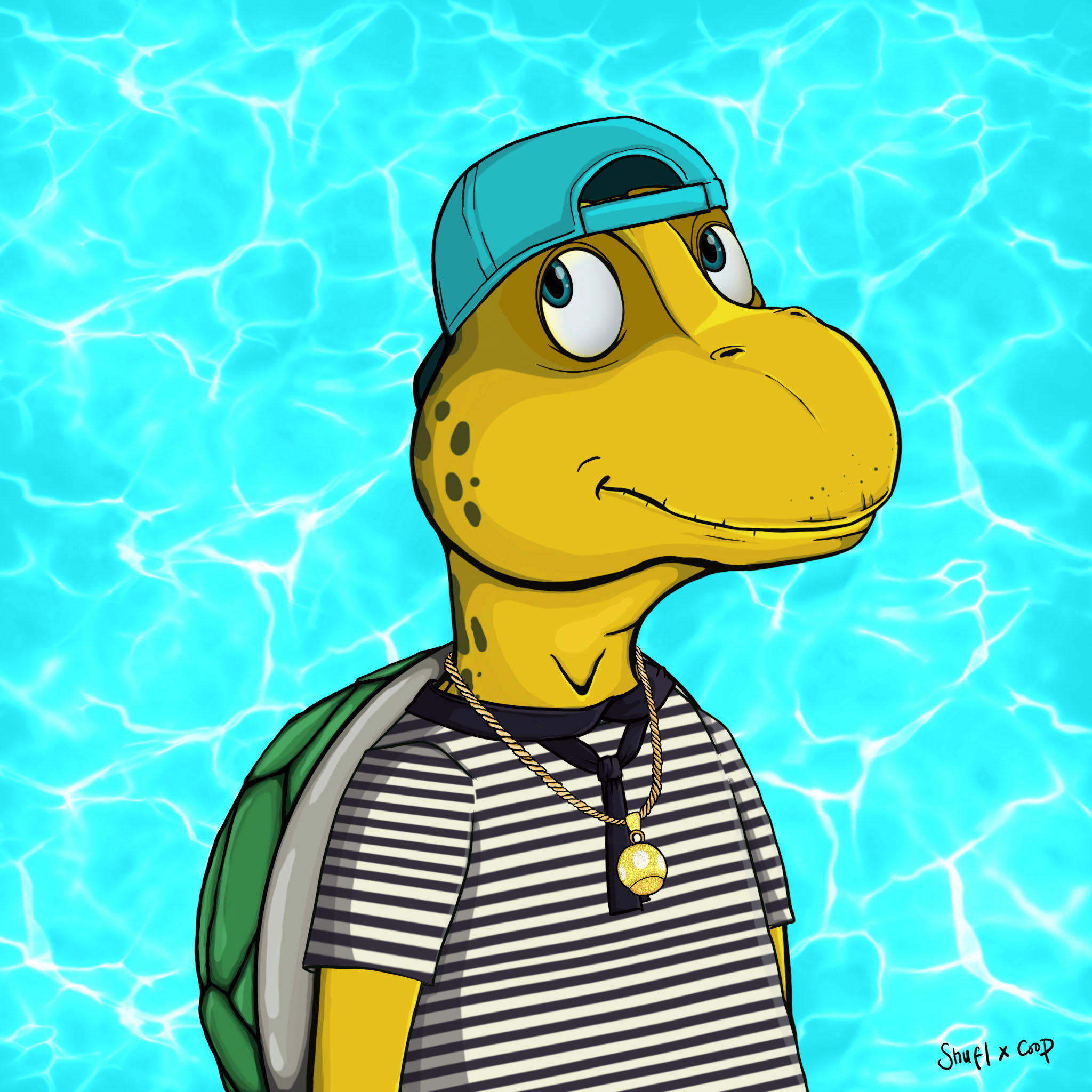 Coopa Troopa #2816 NFT on Algorand