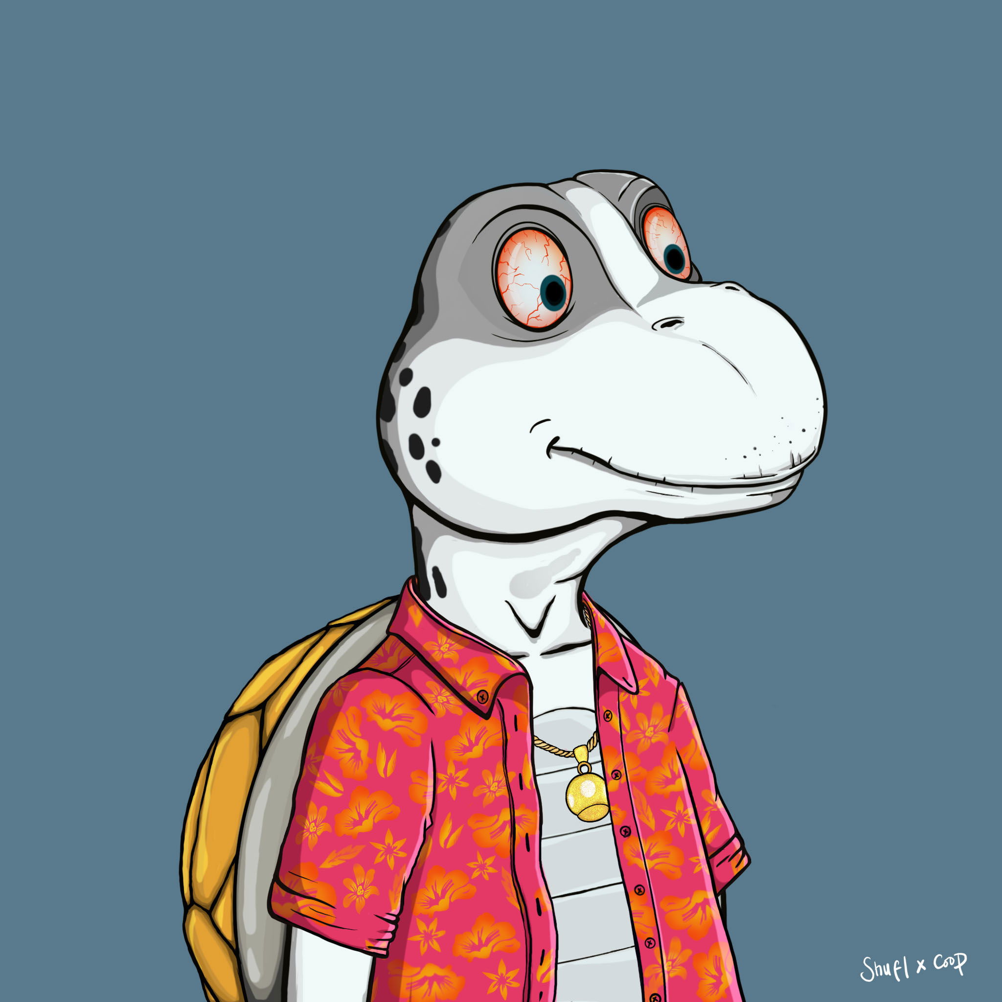 Coopa Troopa #2817 NFT on Algorand