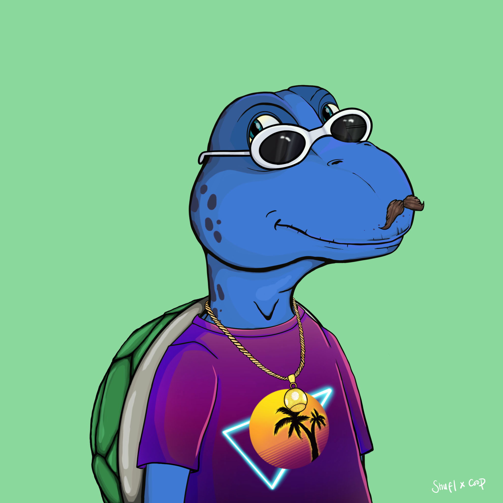 Coopa Troopa #2822 NFT on Algorand