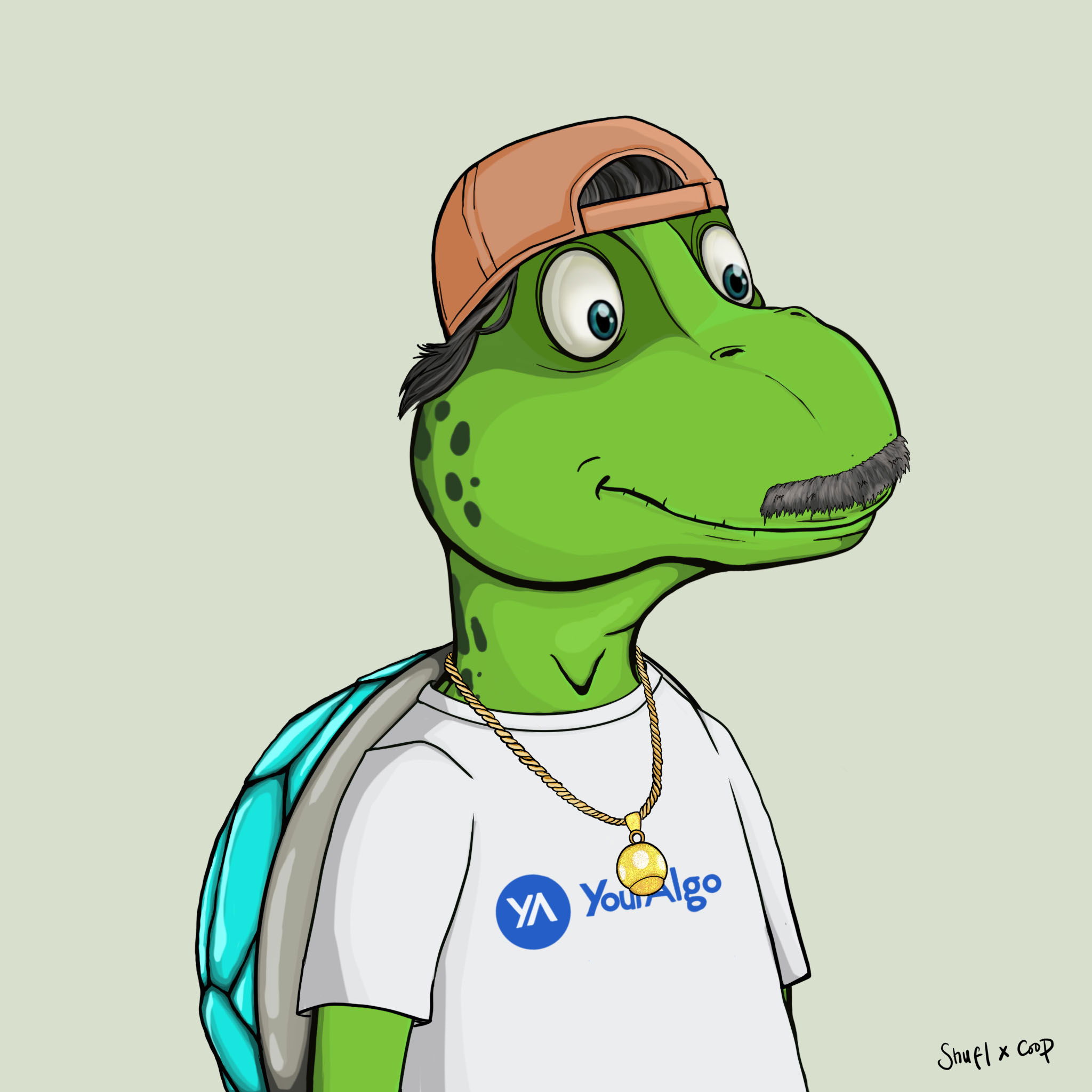 Coopa Troopa #2825 NFT on Algorand