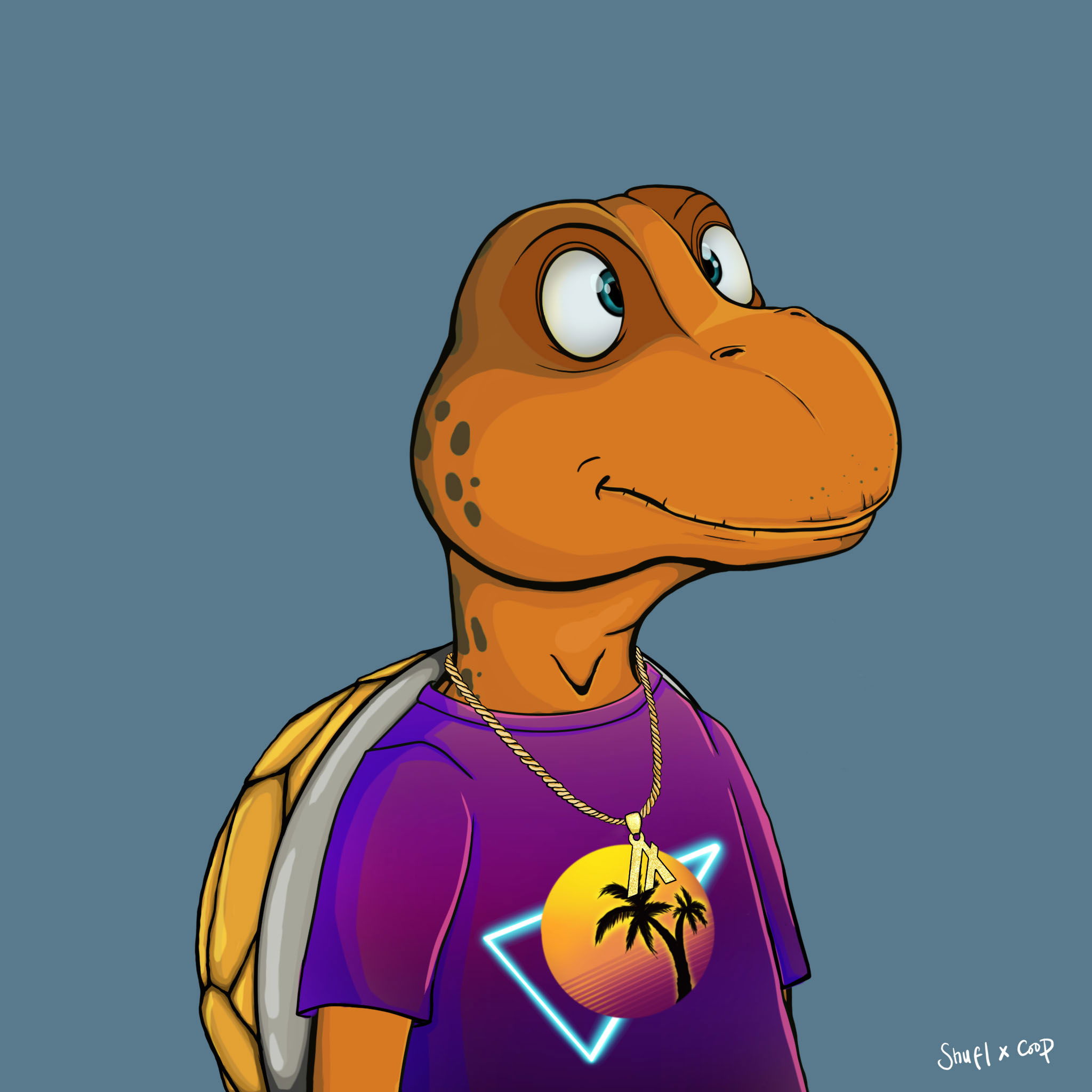 Coopa Troopa #2826 NFT on Algorand