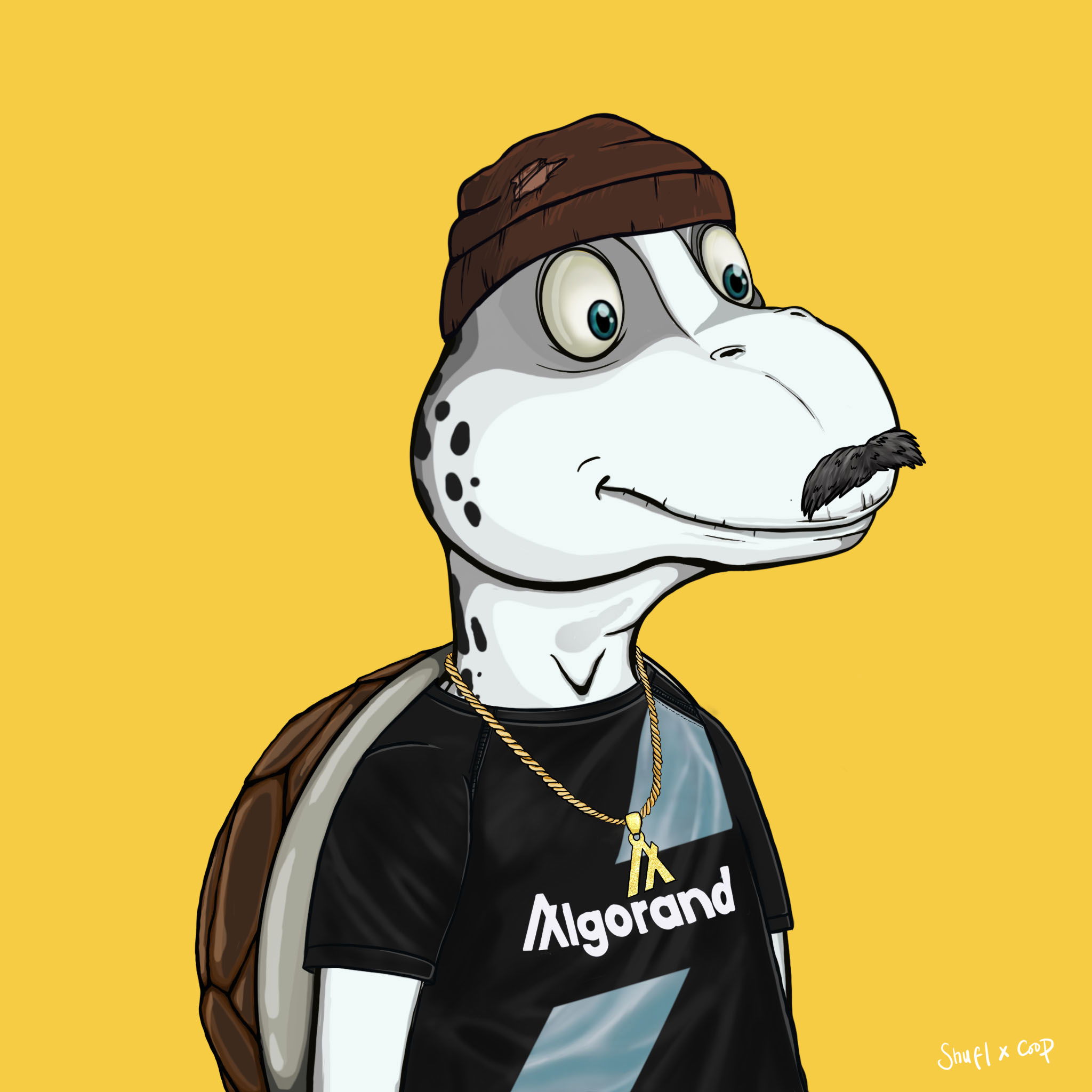 Coopa Troopa #2829 NFT on Algorand