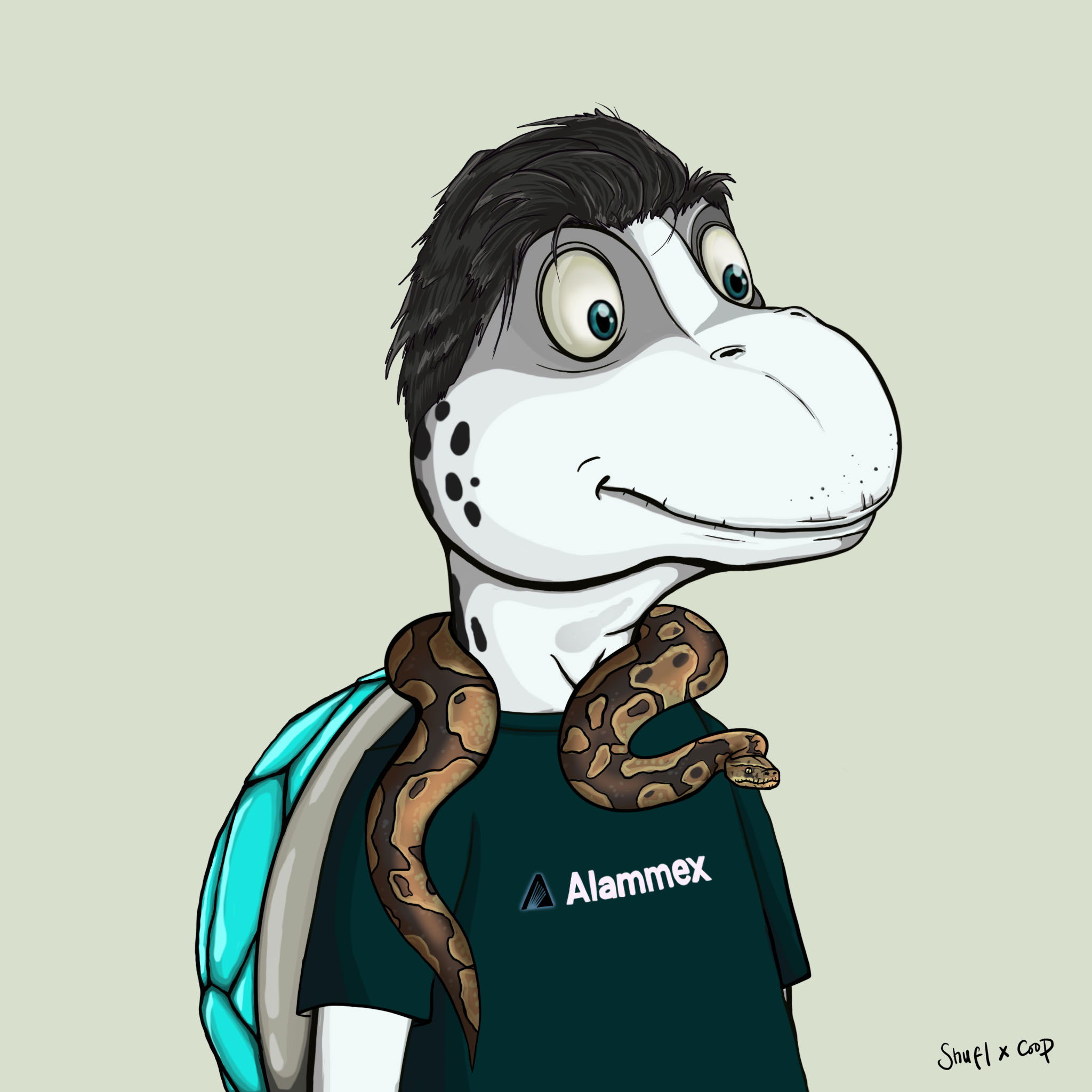 Coopa Troopa #2830 NFT on Algorand