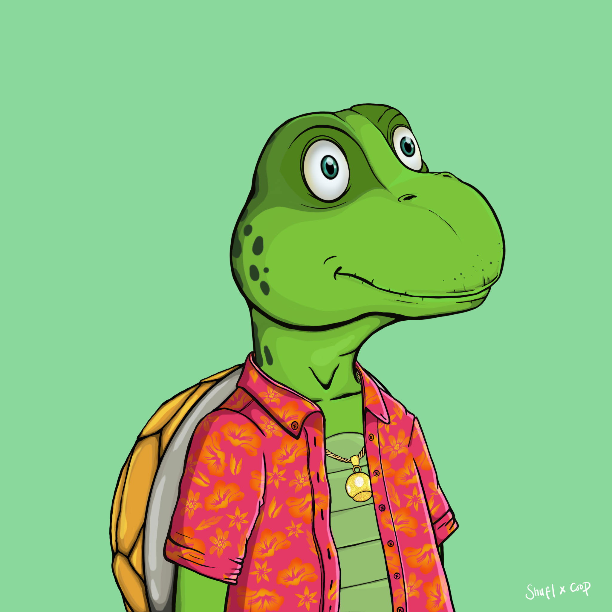 Coopa Troopa #2846 NFT on Algorand