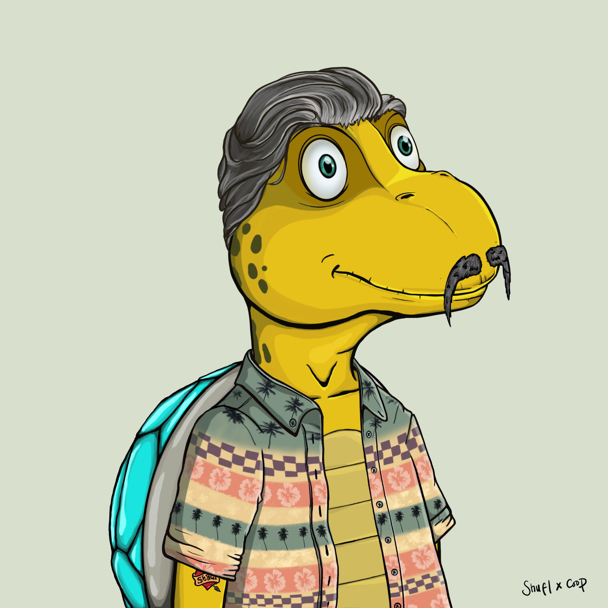 Coopa Troopa #2849 NFT on Algorand