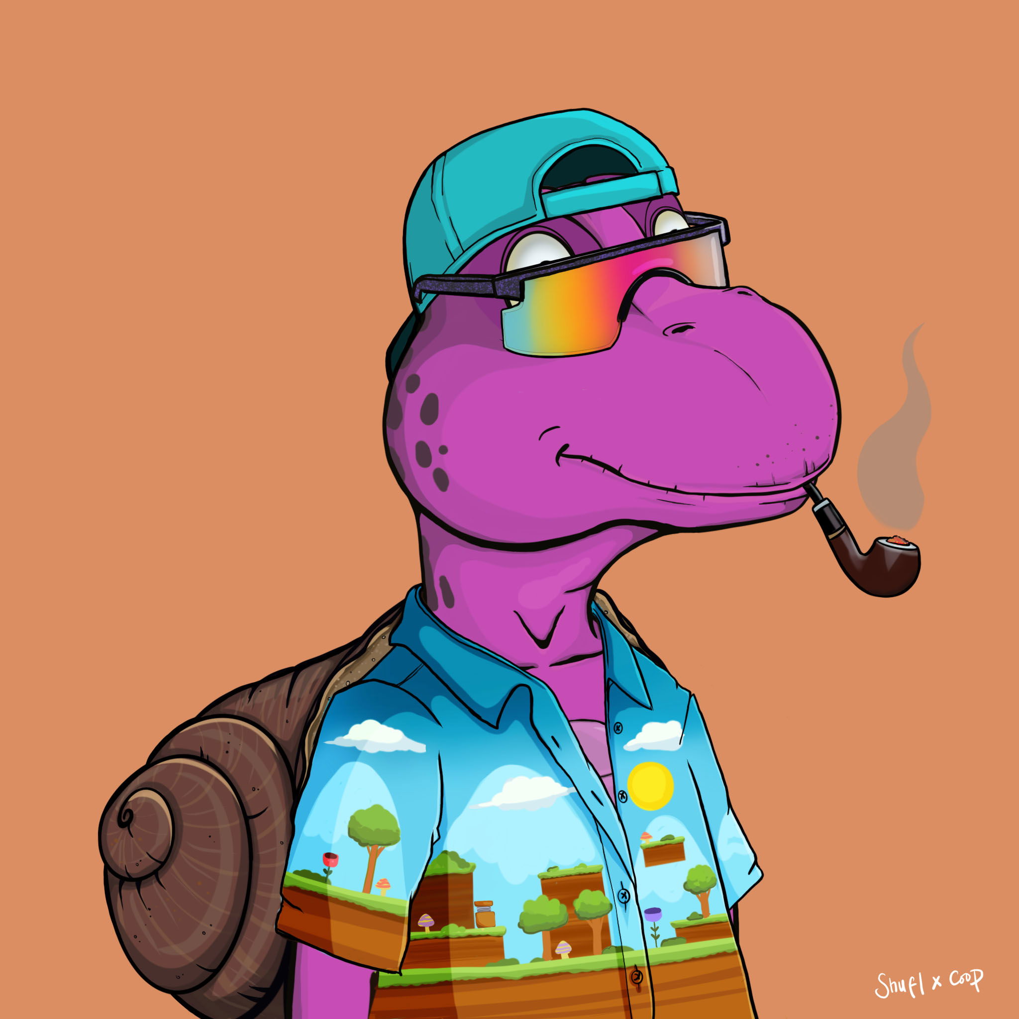 Coopa Troopa #2857 NFT on Algorand