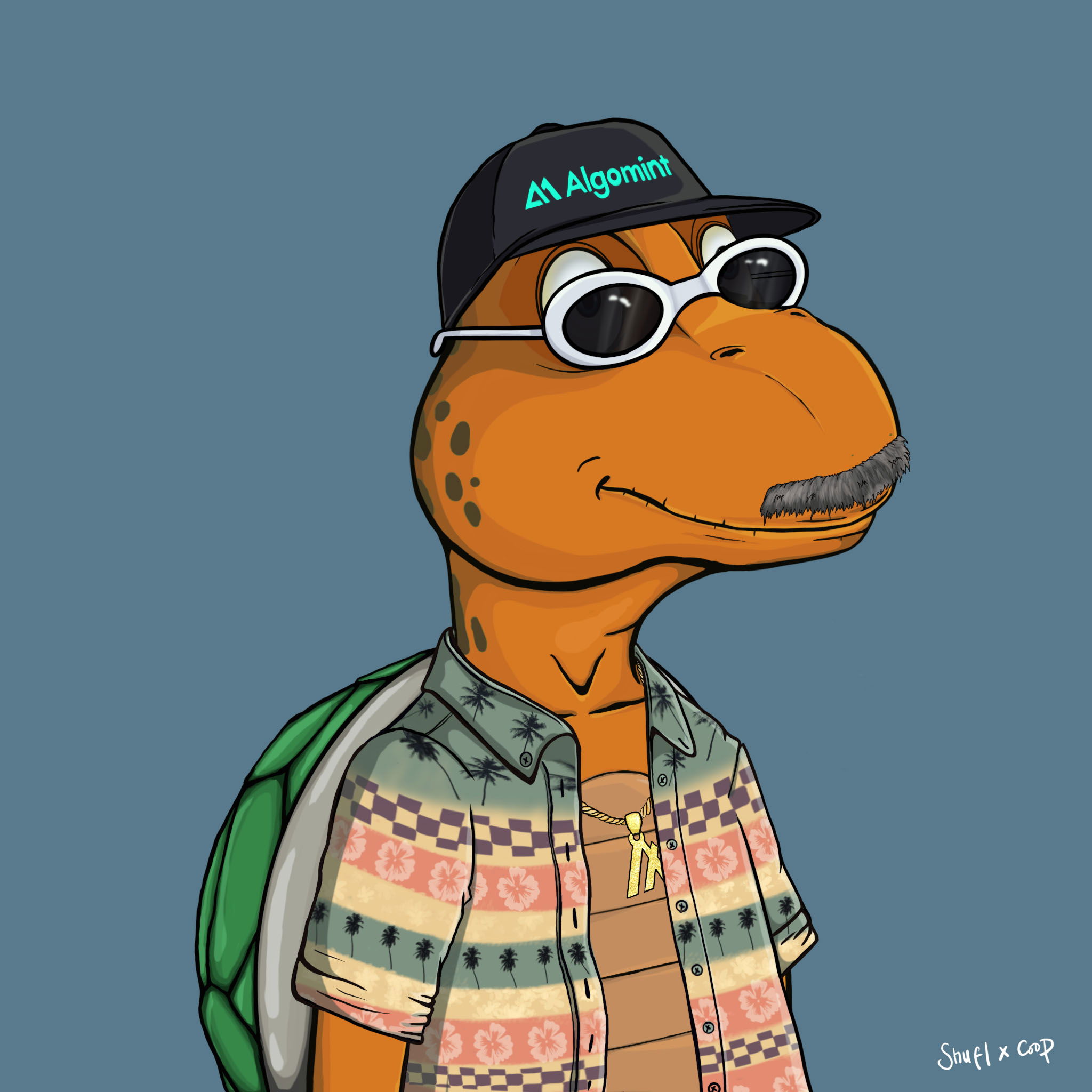 Coopa Troopa #2858 NFT on Algorand