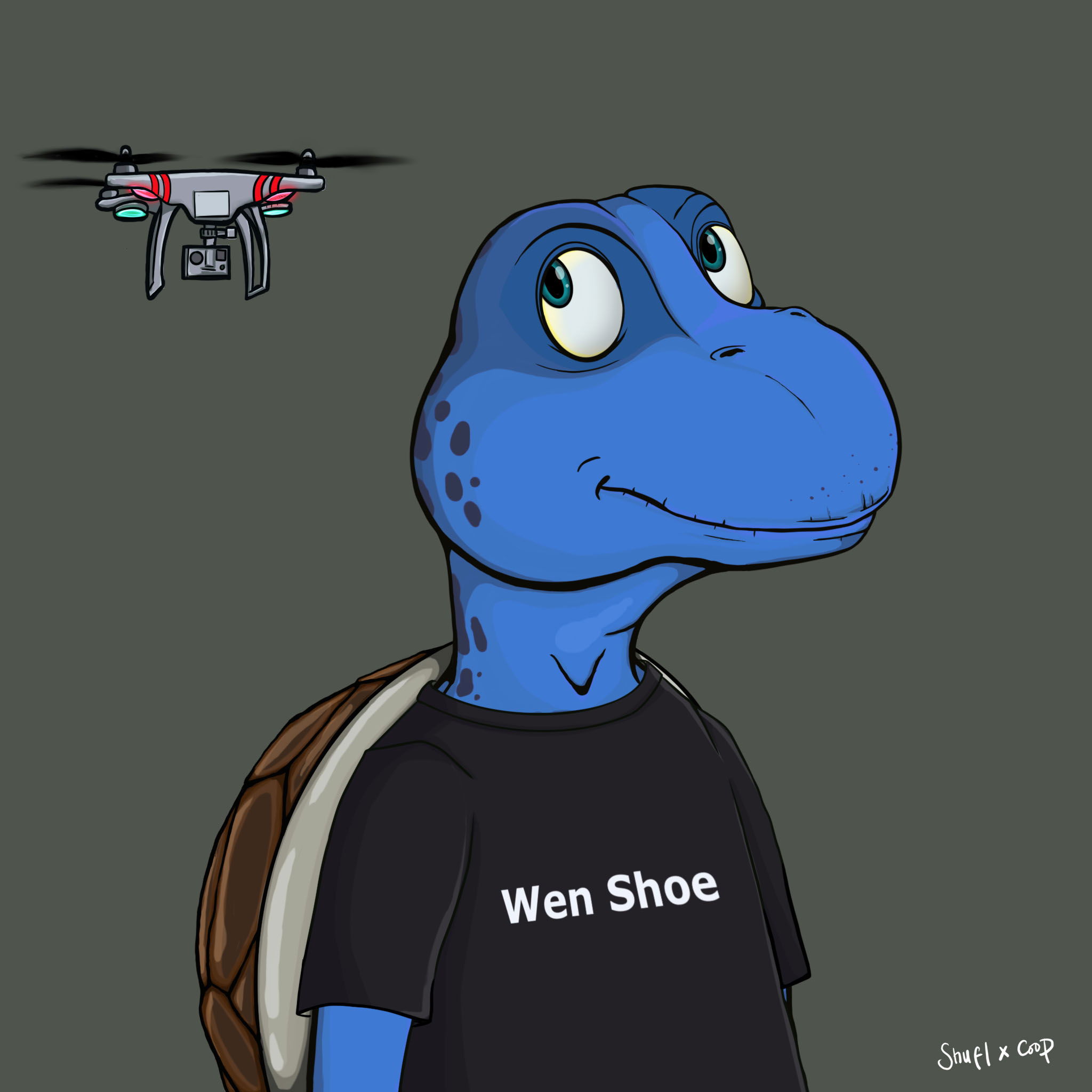 Coopa Troopa #2863 NFT on Algorand