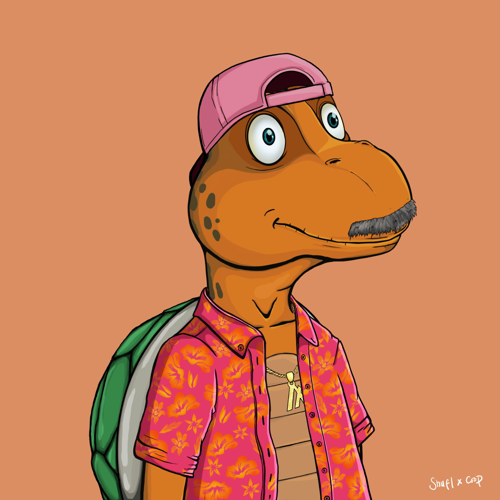 Coopa Troopa #2865 NFT on Algorand