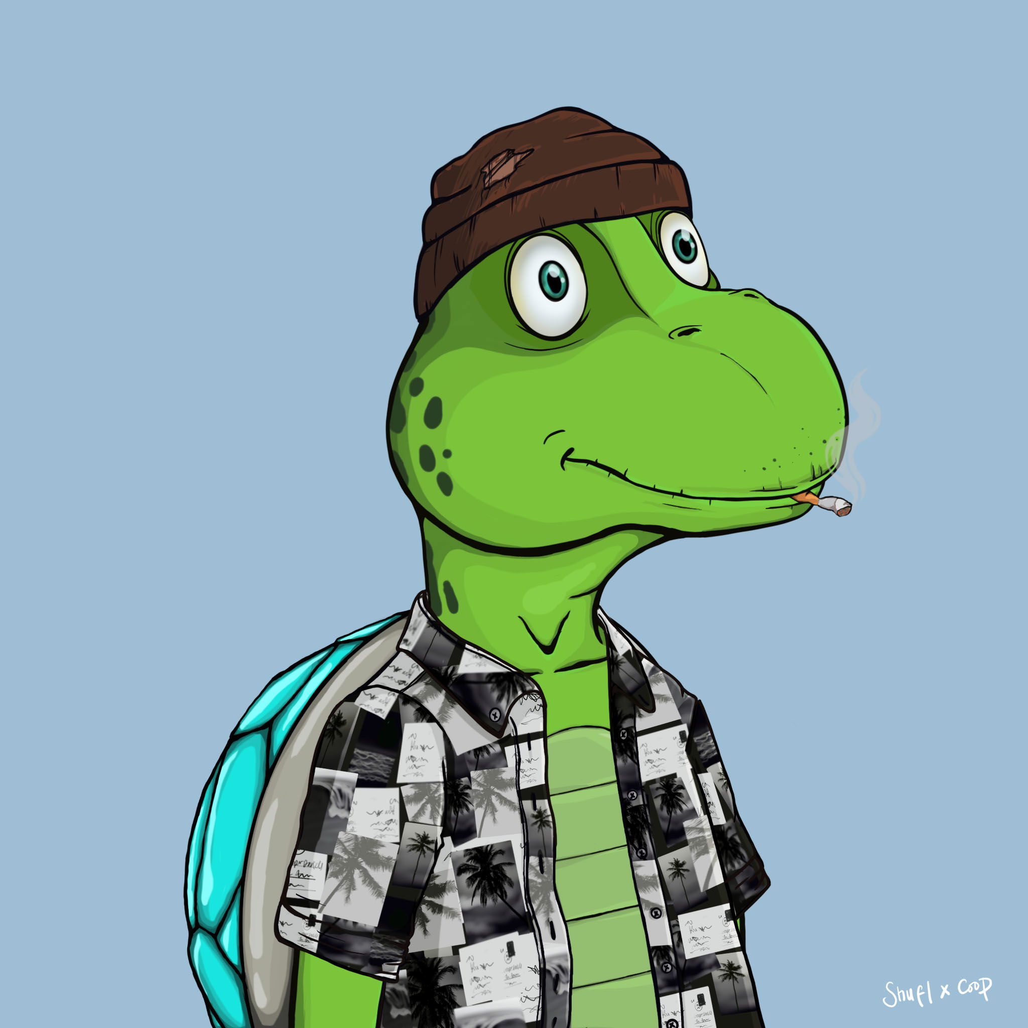 Coopa Troopa #2877 NFT on Algorand