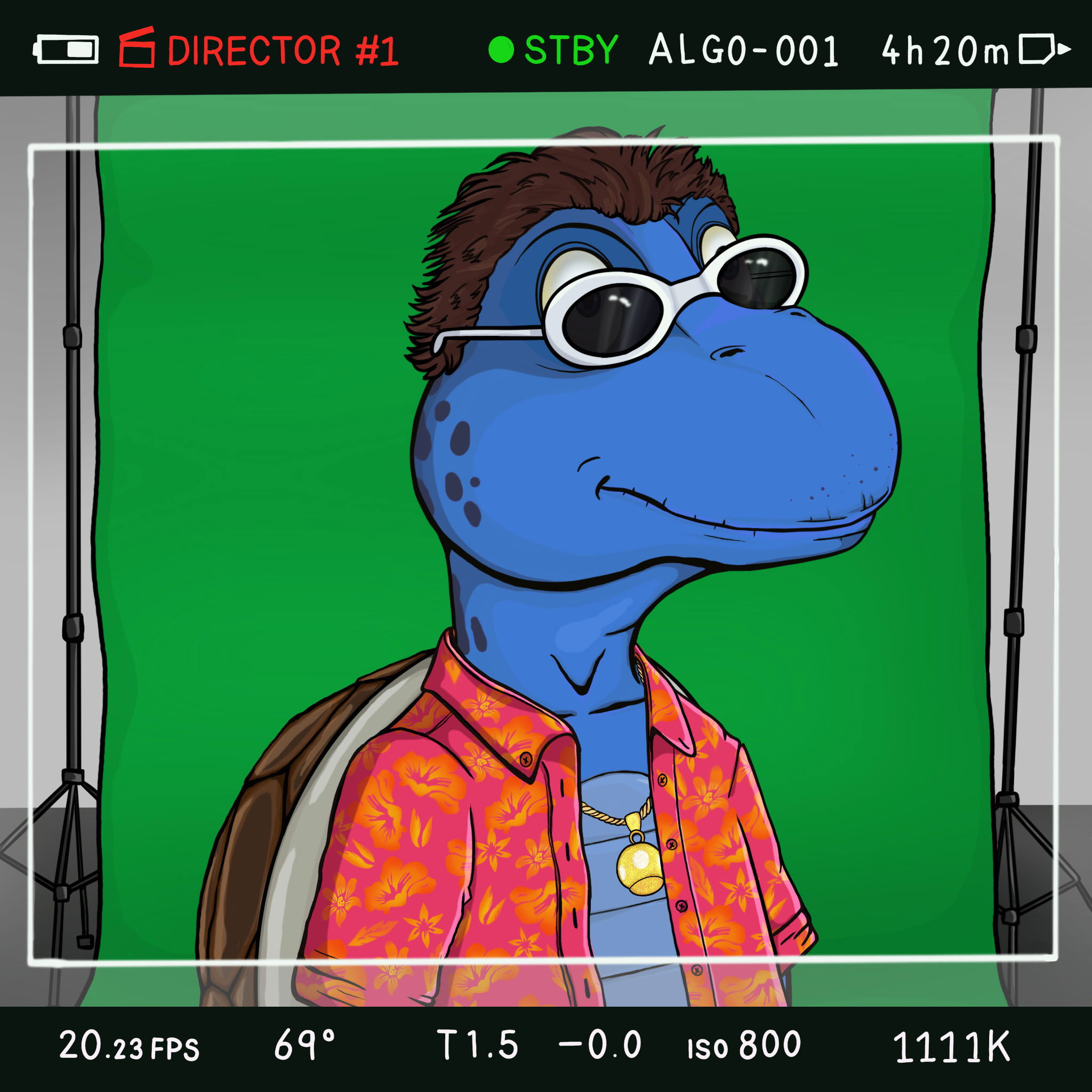 Coopa Troopa #2881 NFT on Algorand